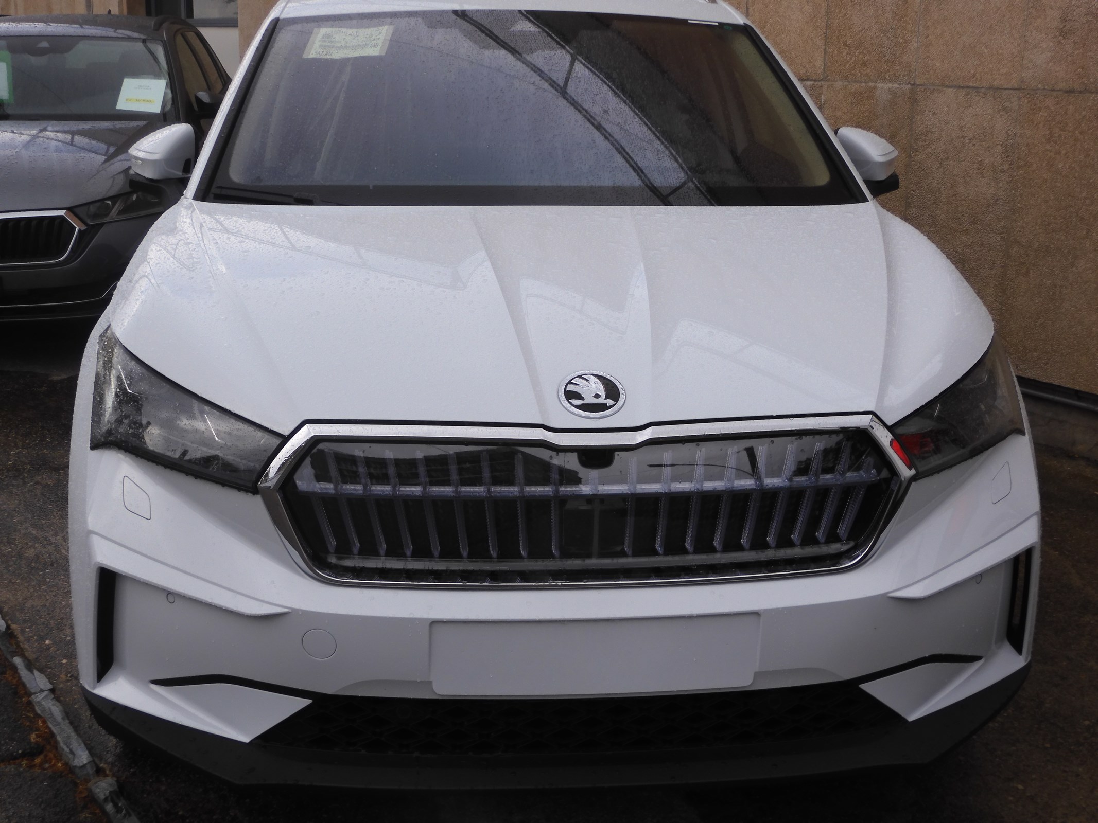 SKODA Enyaq iV 80x