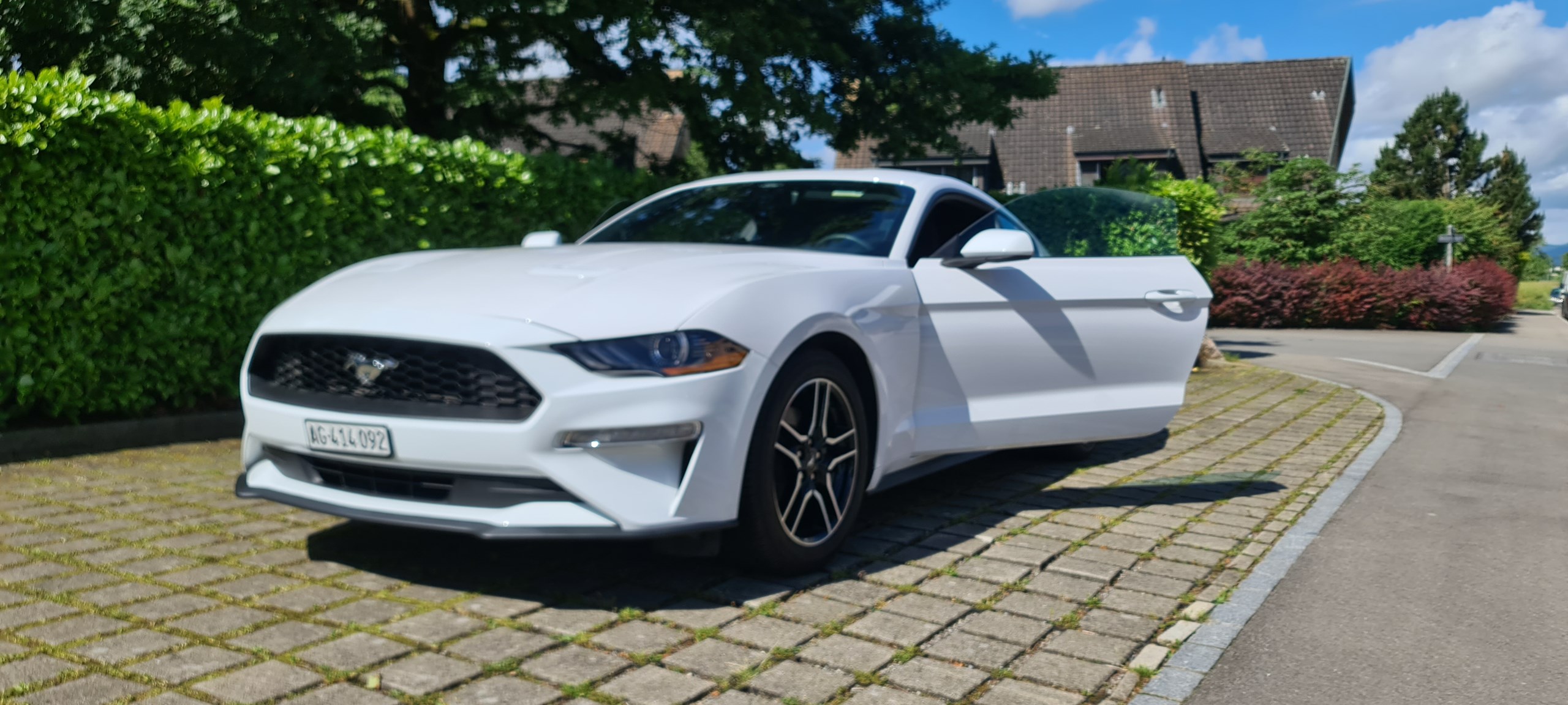 FORD MUSTANG 2.3 Turbo Coupé 310 PS Manual