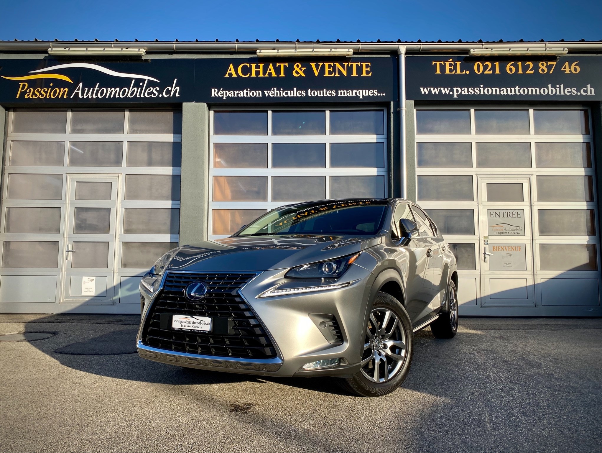 LEXUS NX 300h Diamond E-Four Automatic