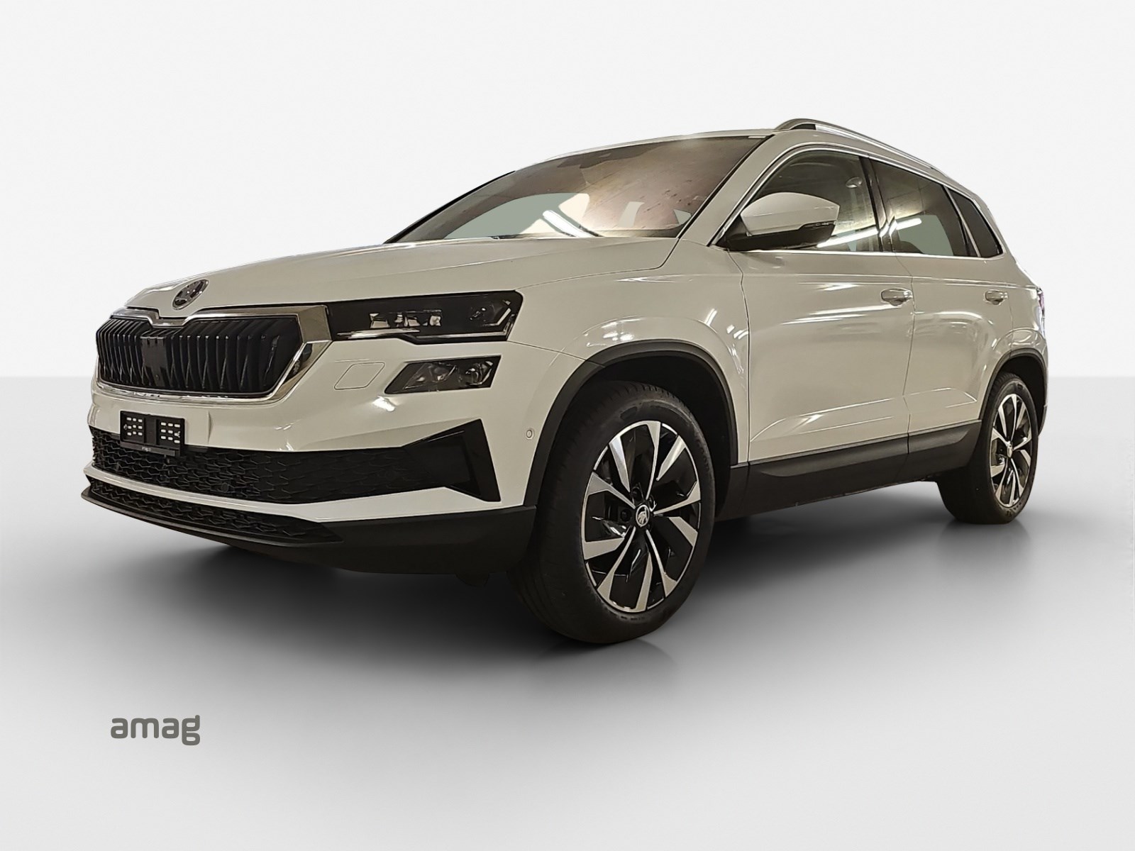 SKODA Karoq 2.0 TDI CR Selection 4x4 DSG