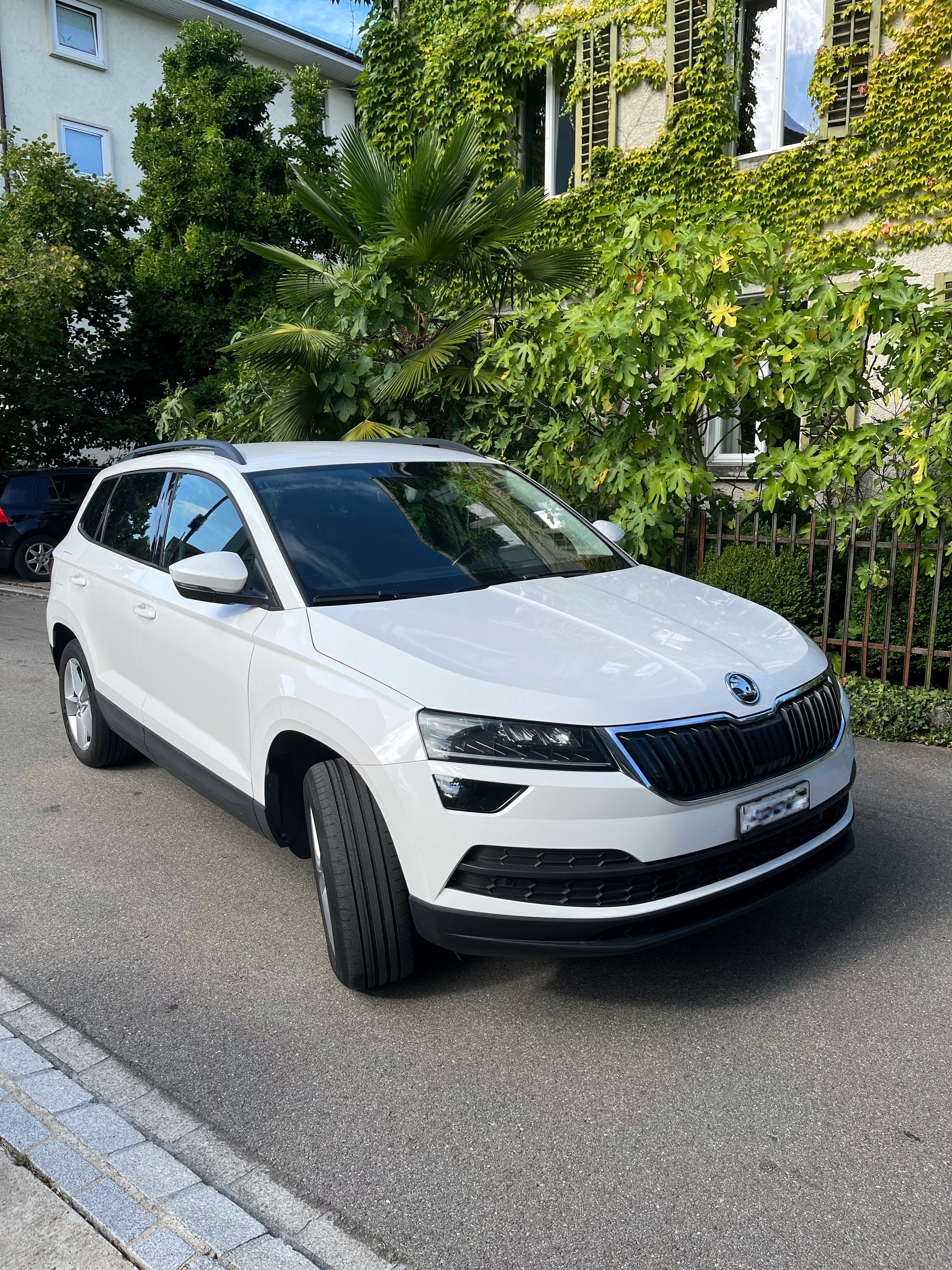 SKODA Karoq 2.0 TDI CR Ambition 4x4 DSG