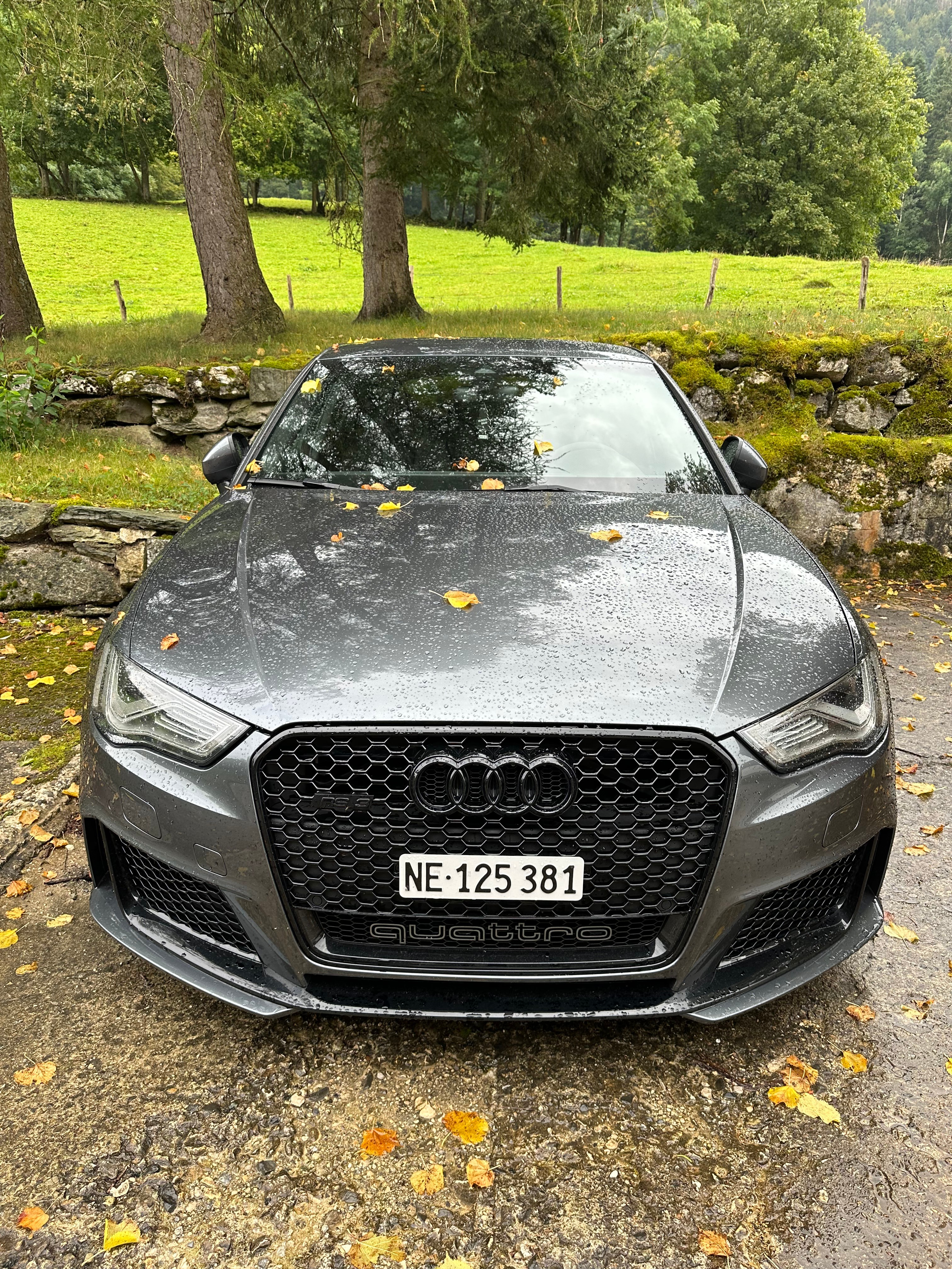 AUDI RS3 2.5 TSI quattro S-tronic