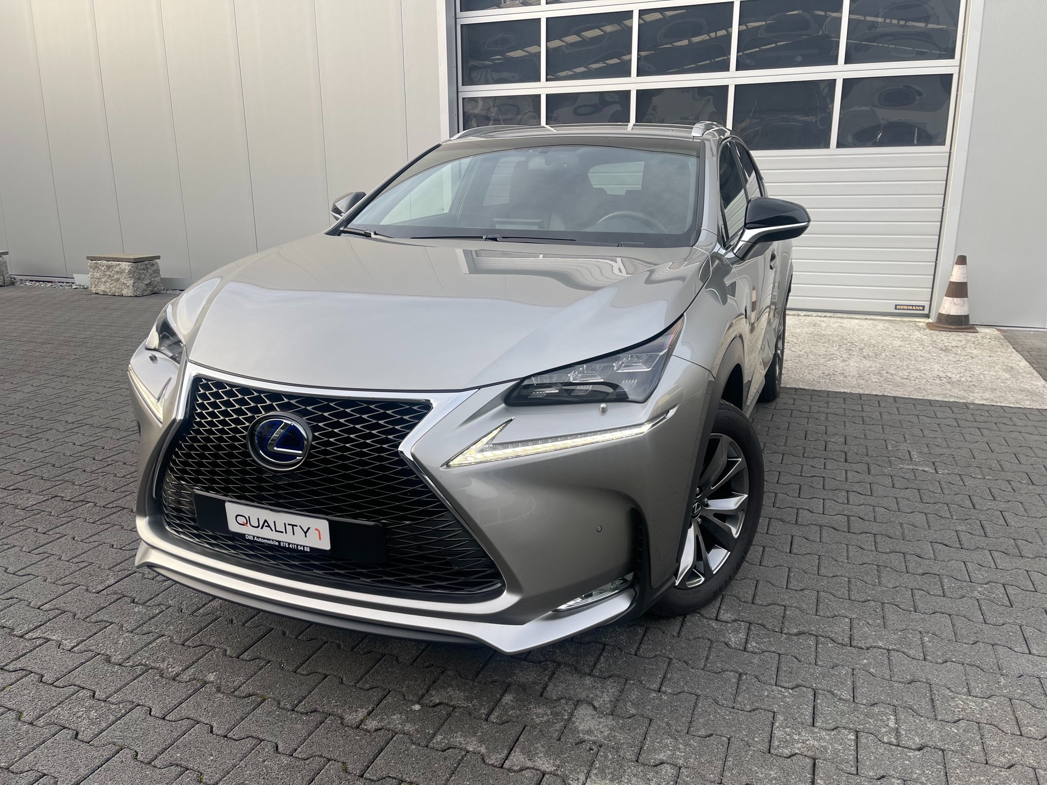 LEXUS NX 300h F-Sport E-Four Automatic