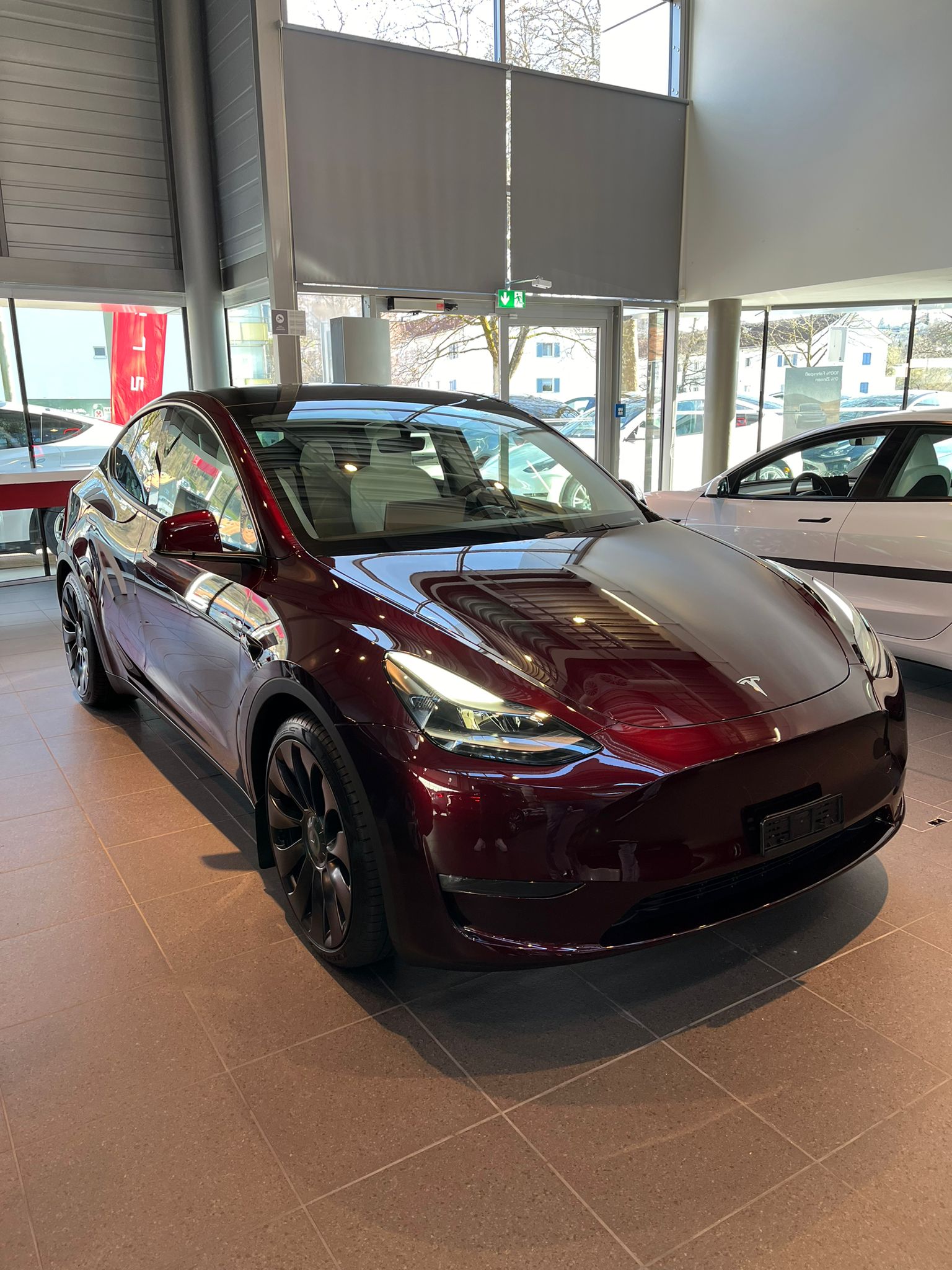 TESLA Model Y Performance