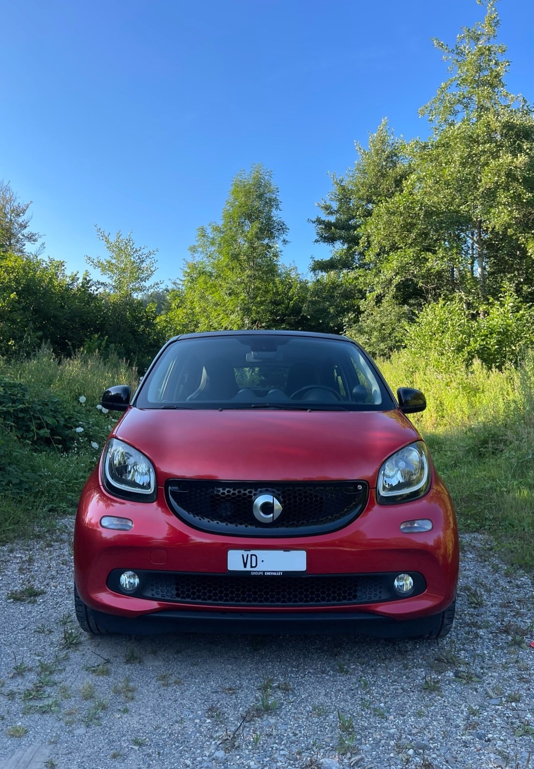 SMART forfour passion