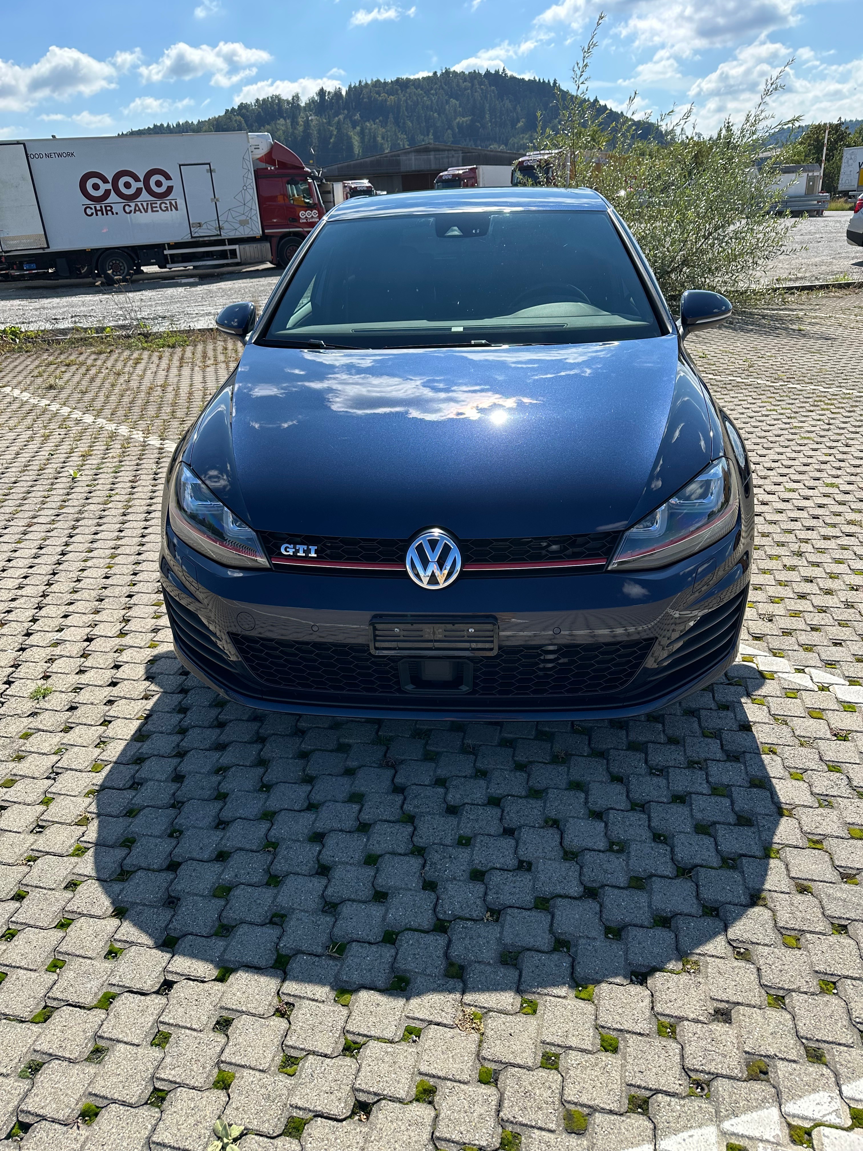 VW VW Golf 2.0 TSI GTI Performance DSG