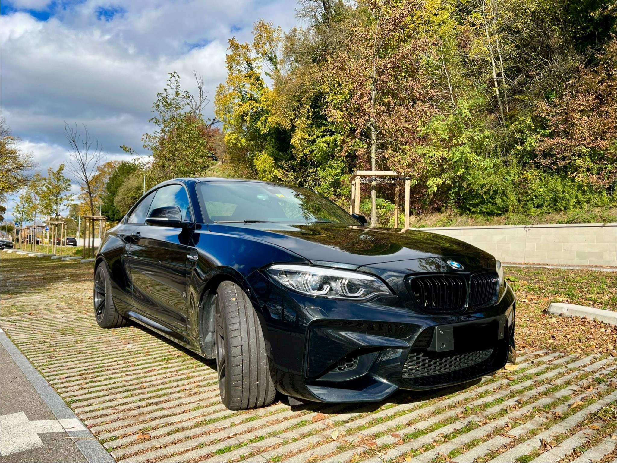 BMW M2 Drivelogic