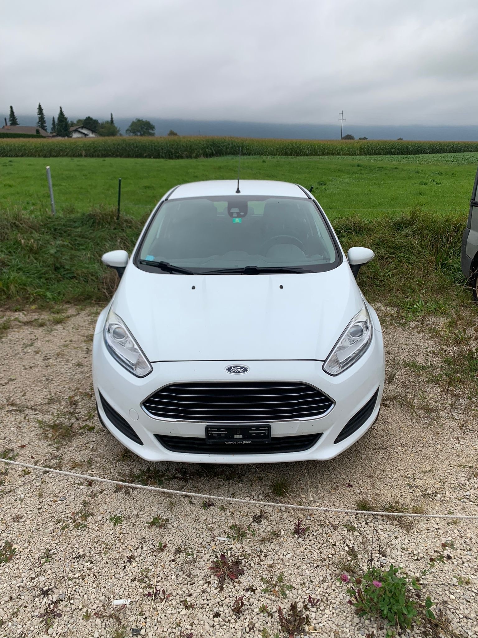 FORD Fiesta 1.0 SCTi Trend