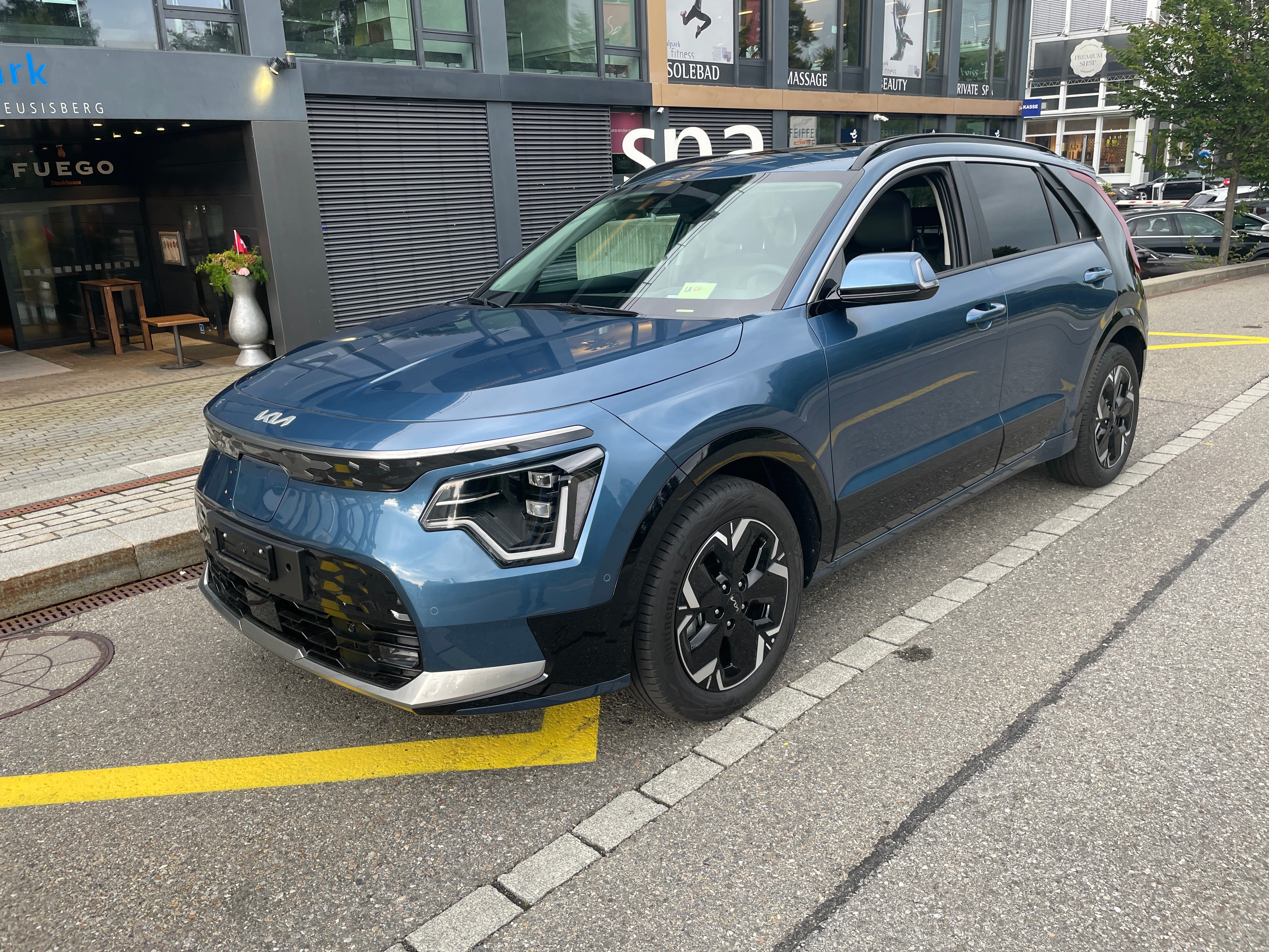 KIA Niro EV 64,8 kWh Style