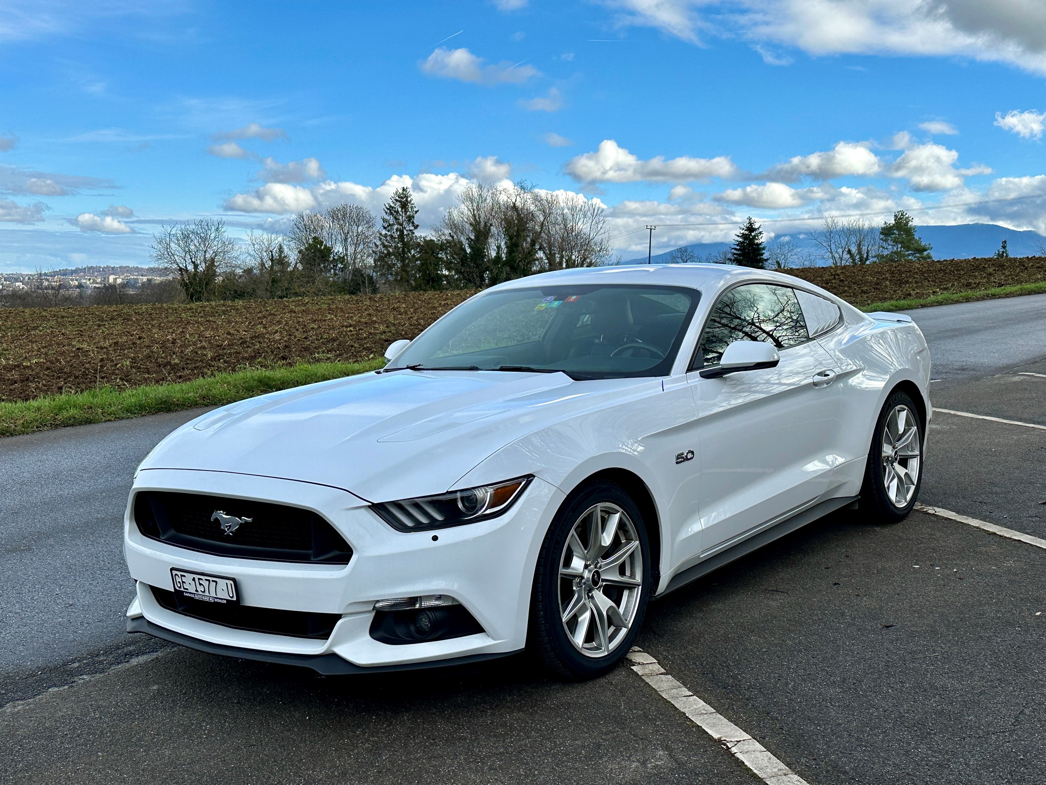 FORD MUSTANG Fastback 5.0 V8 GT