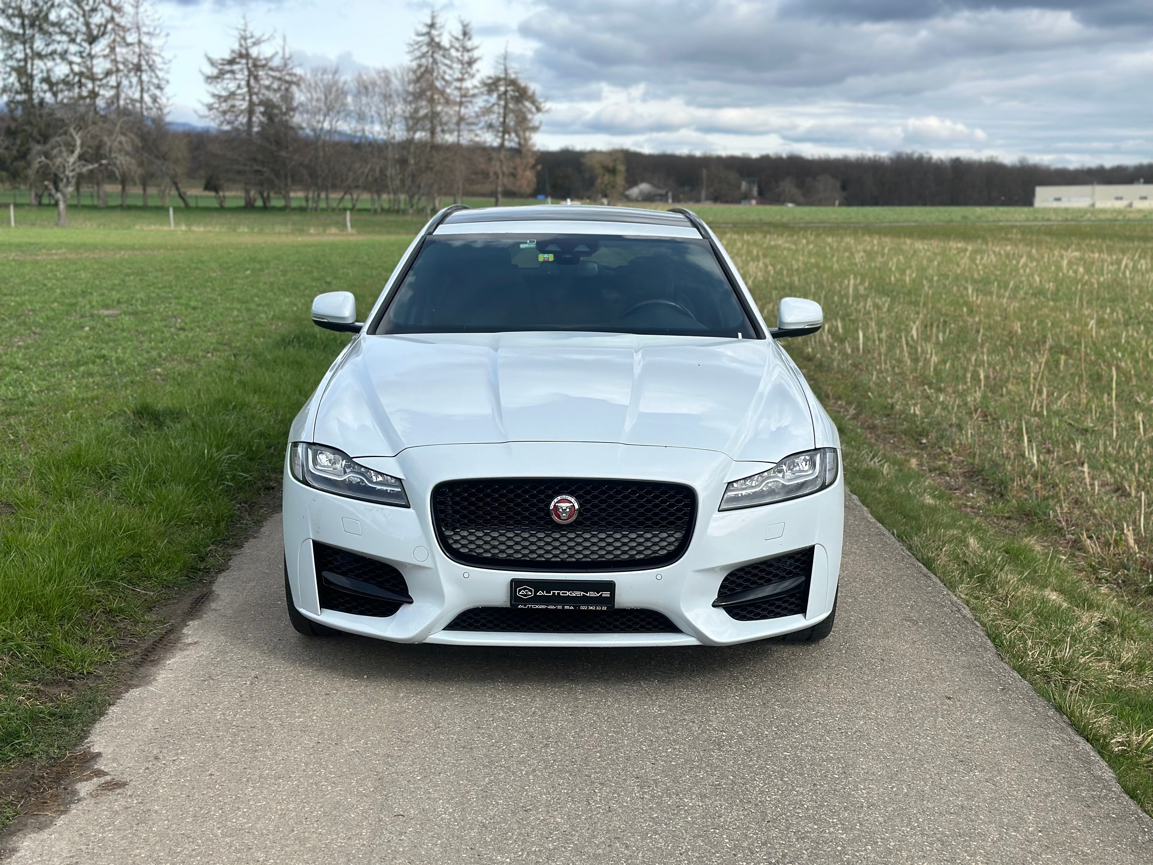 JAGUAR XF Sportbrake 20d R-Sport AWD Automatic