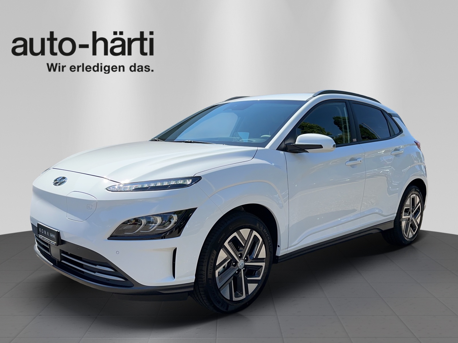 HYUNDAI Kona EV Vertex Vertex