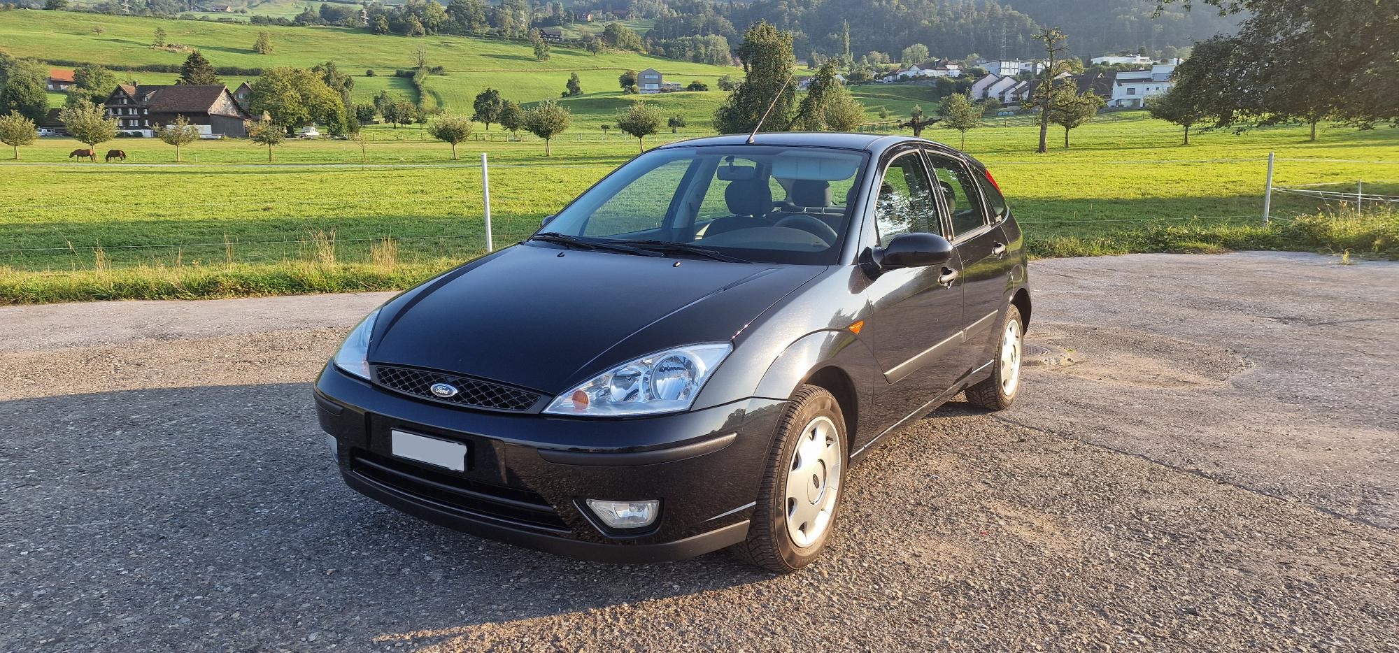 FORD Focus 2.0i 16V Carving