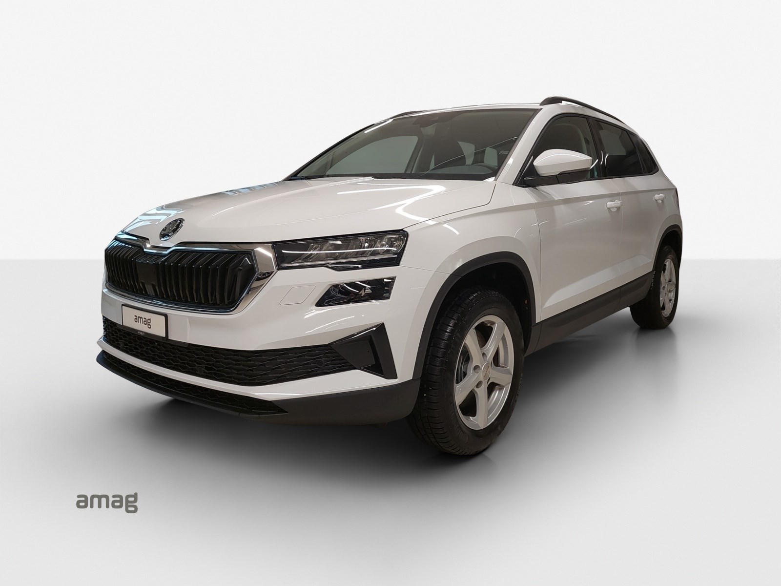 SKODA Karoq 1.5 TSI Selection DSG