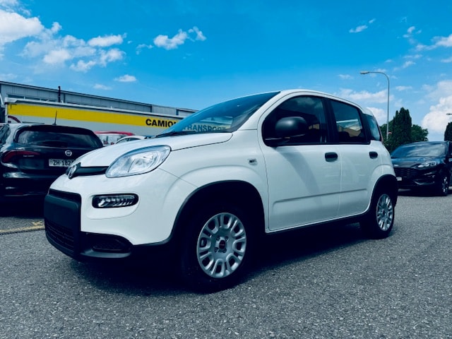 FIAT PANDA CULT PLUS +