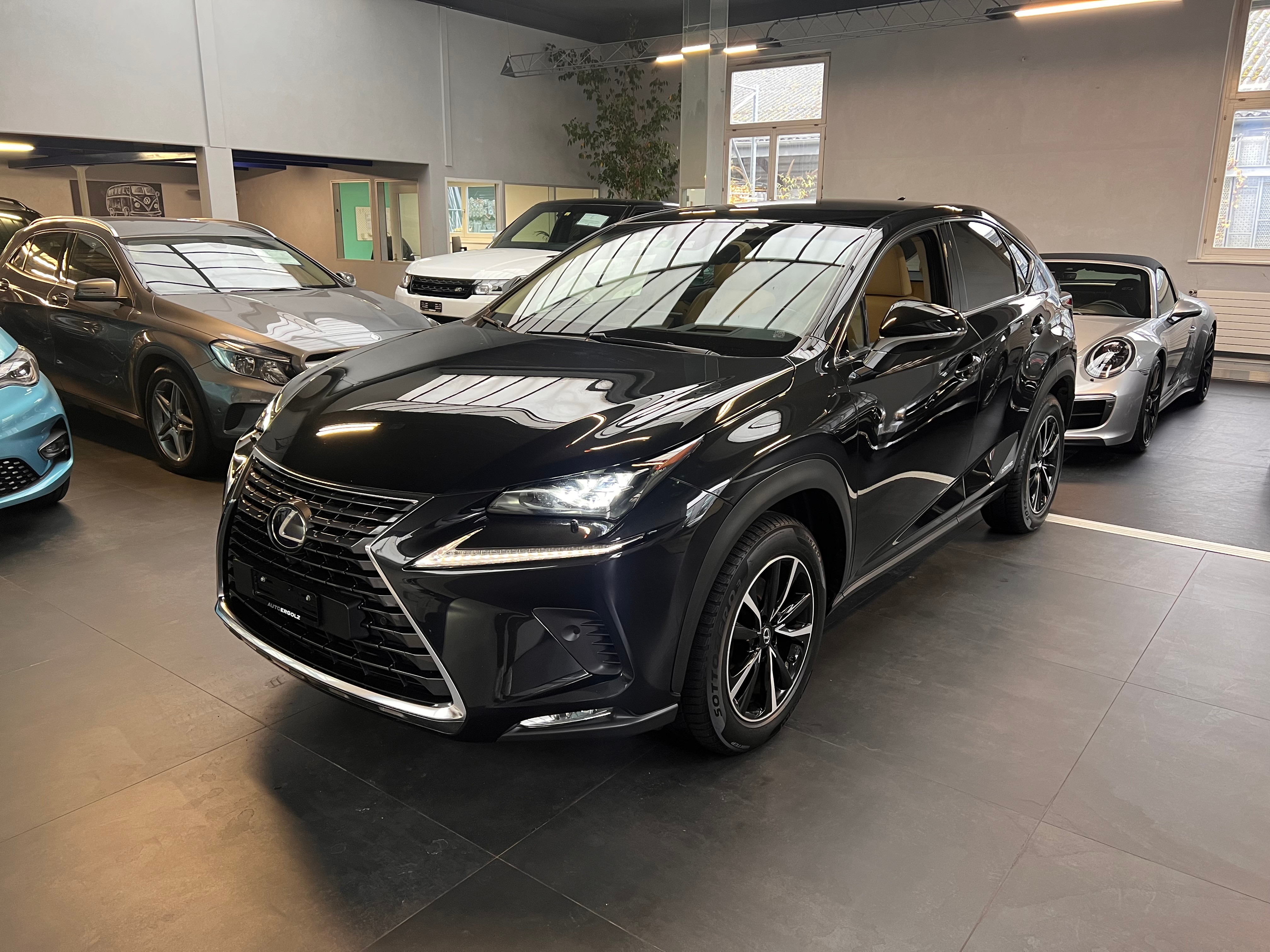 LEXUS NX 300h Excellence E-Four Automatic