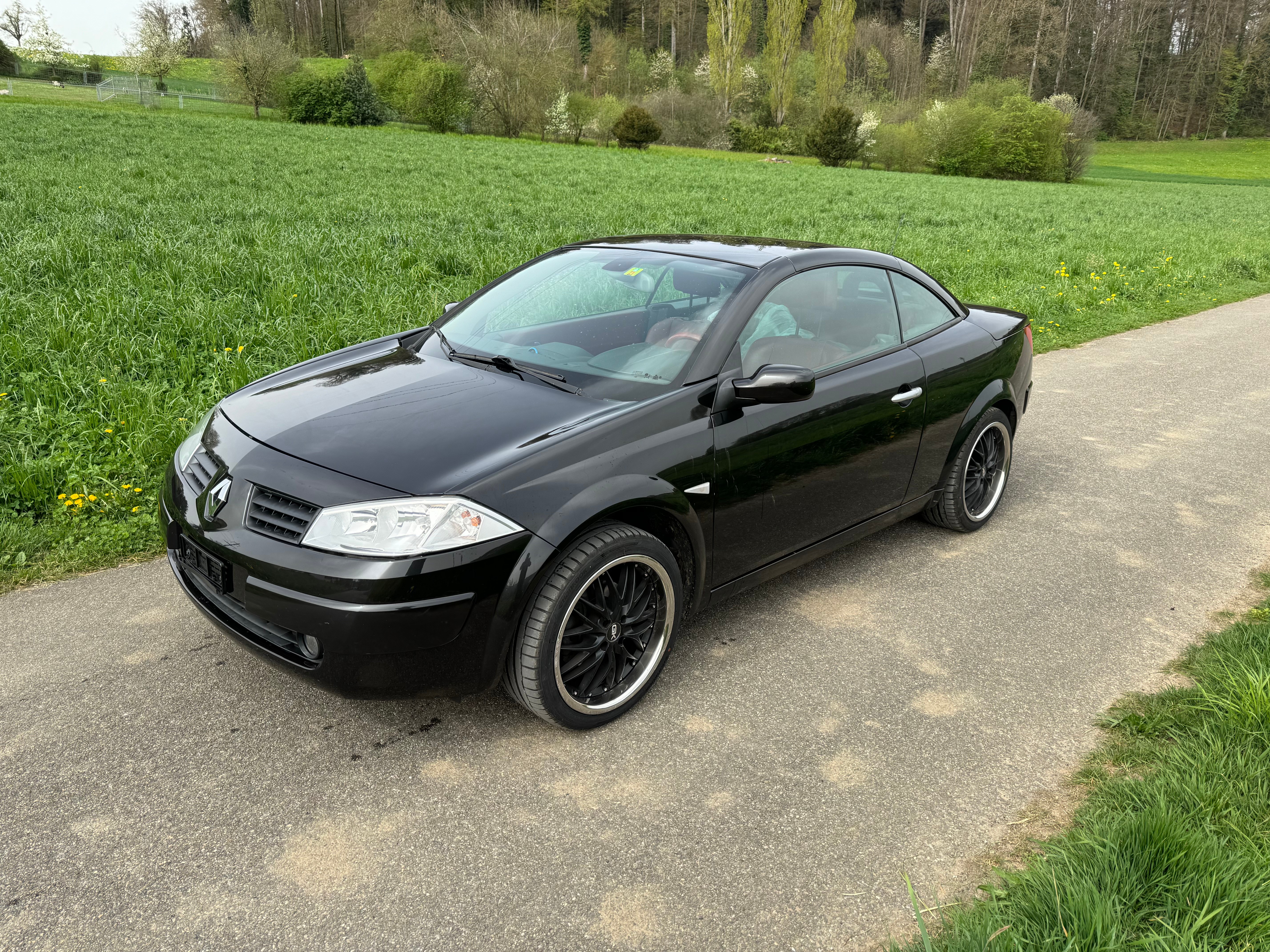 RENAULT Mégane C-C 2.0 16V T Privilège Luxe