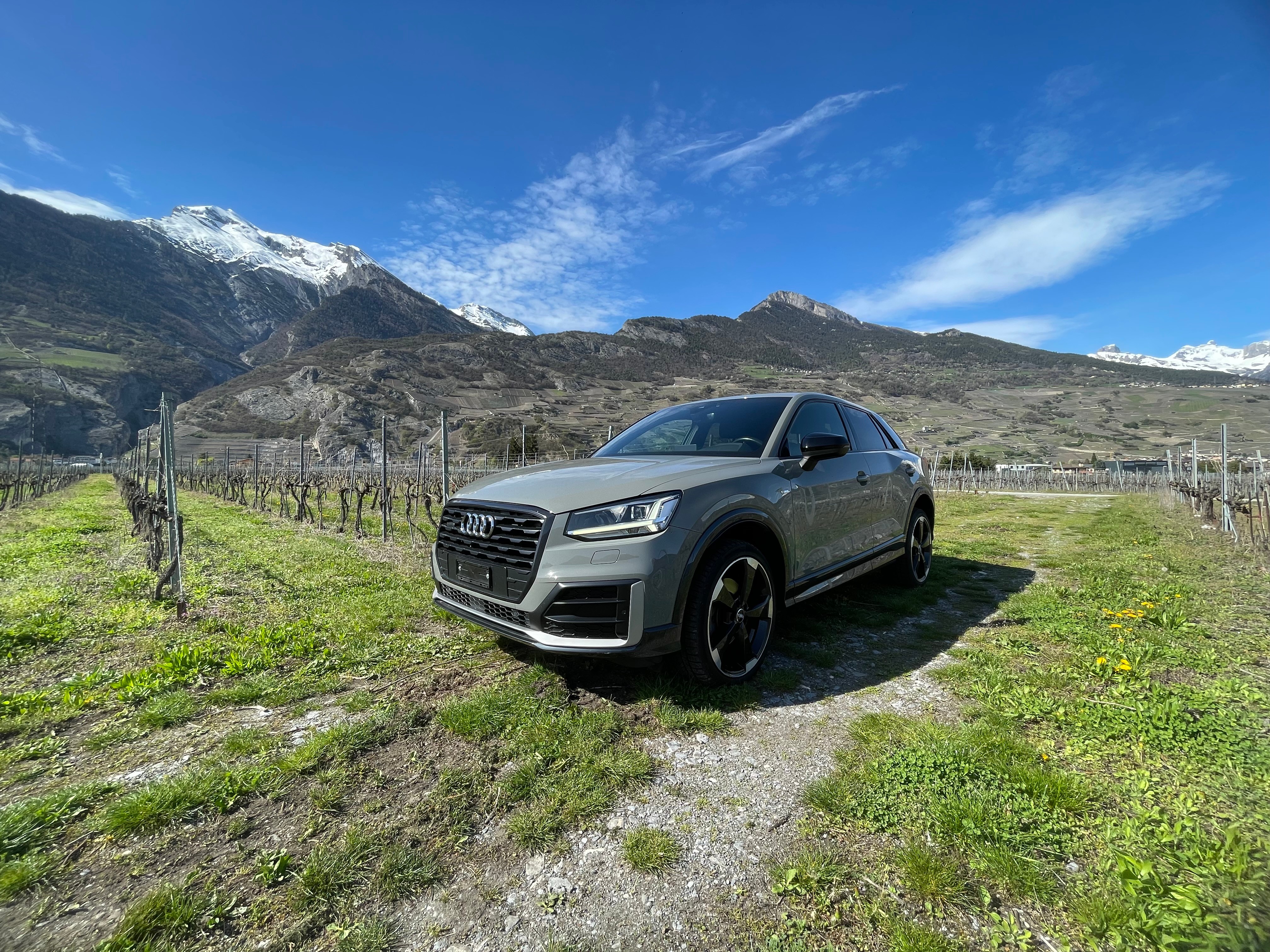 AUDI Q2 2.0 TDI sport quattro S-tronic