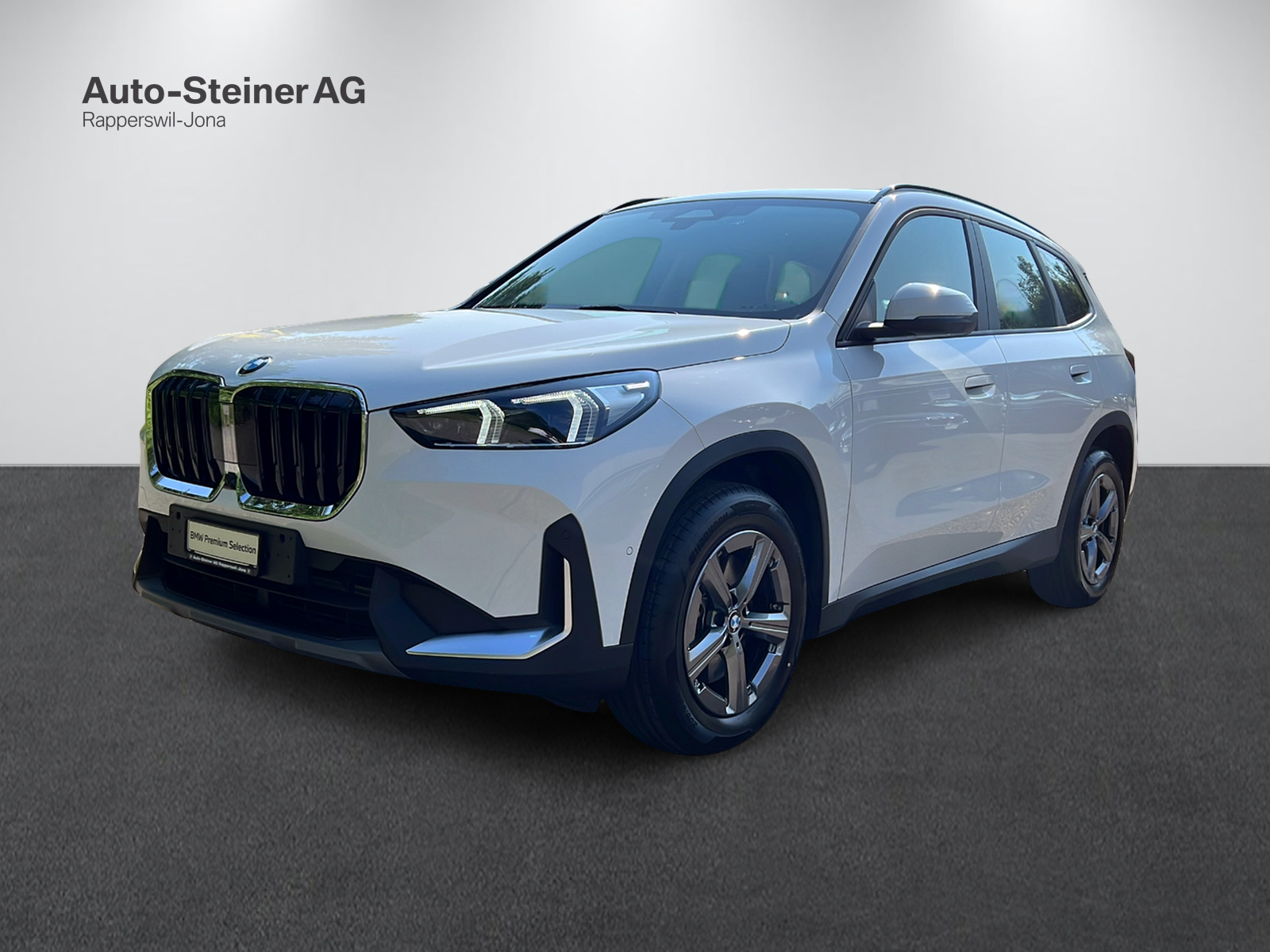 BMW X1 xDrive 23i 48V