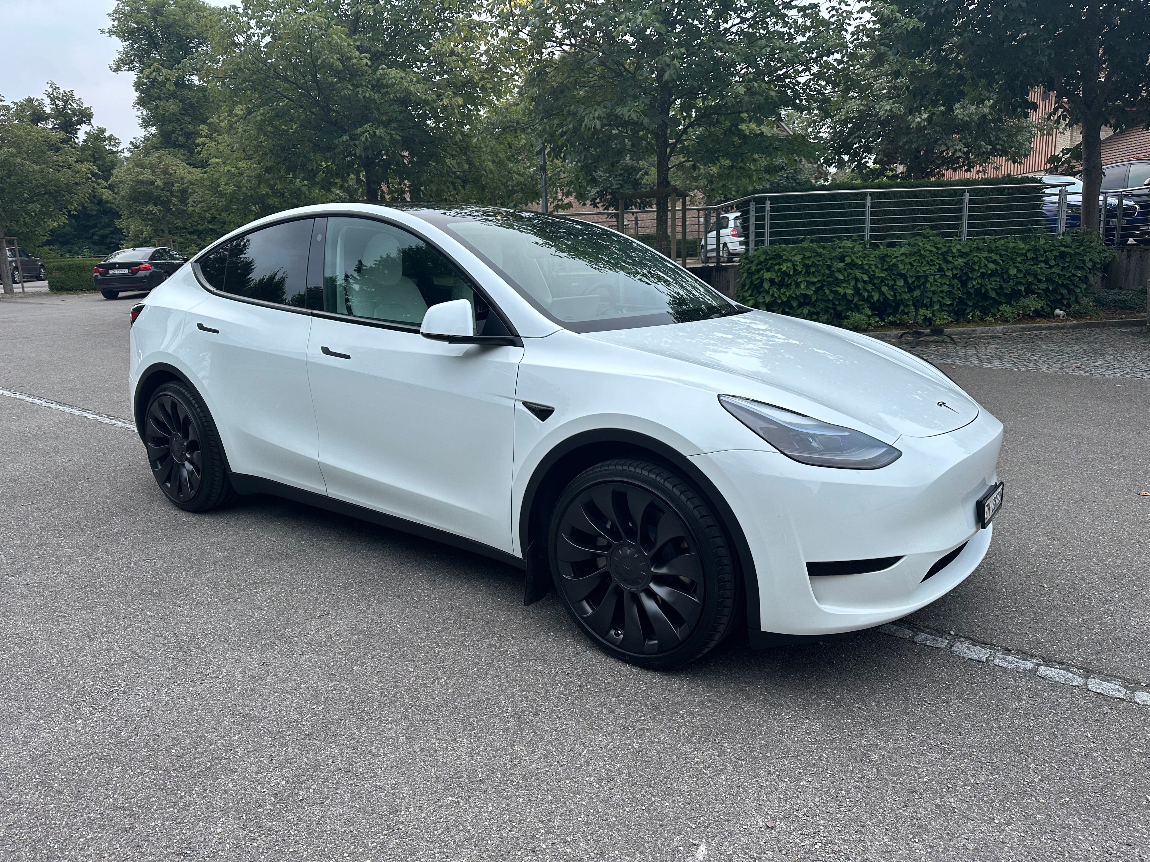 TESLA MODEL Y RWD