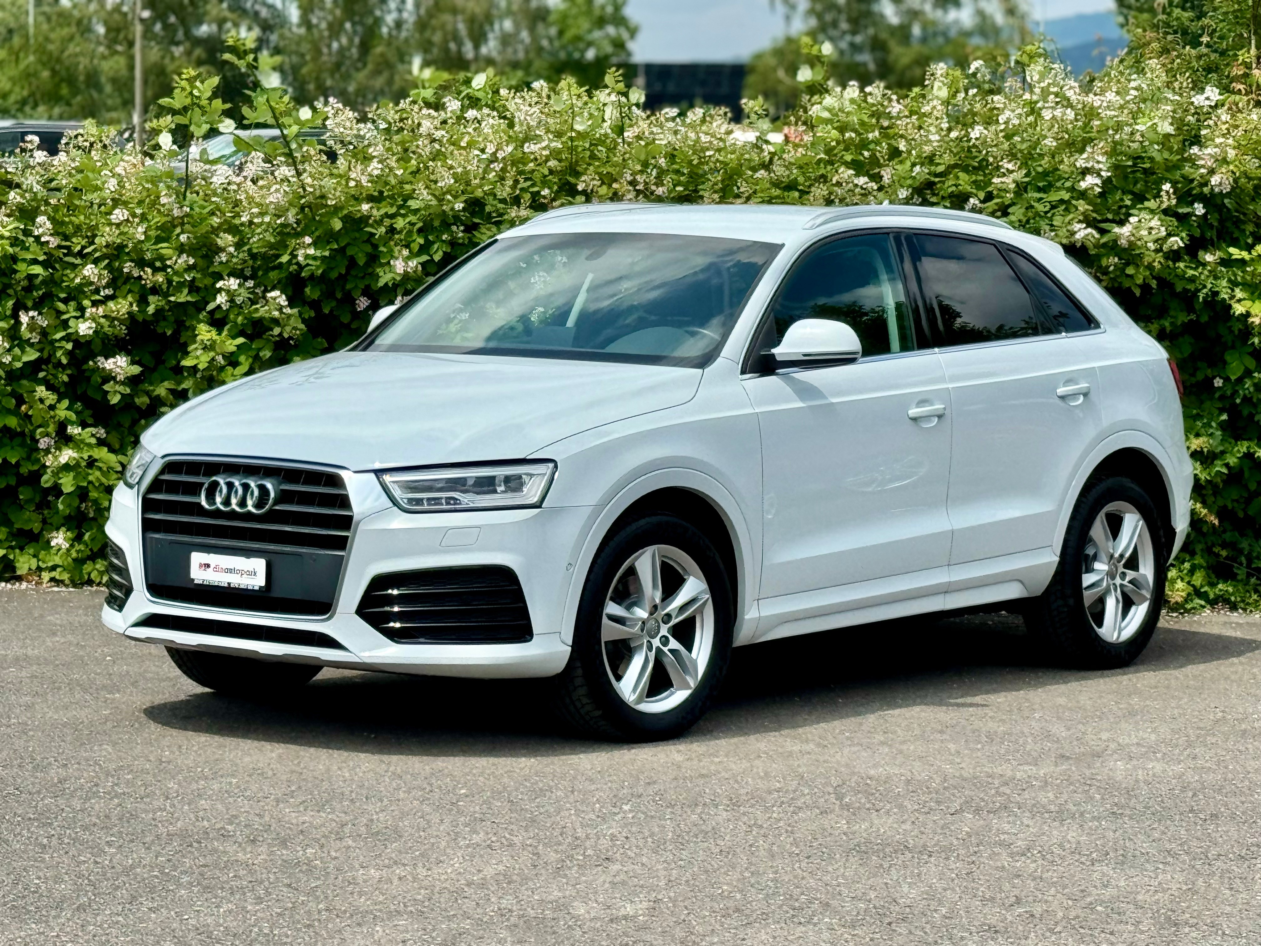 AUDI Q3 1.4 TFSI Sport S-tronic *Ab MFK*