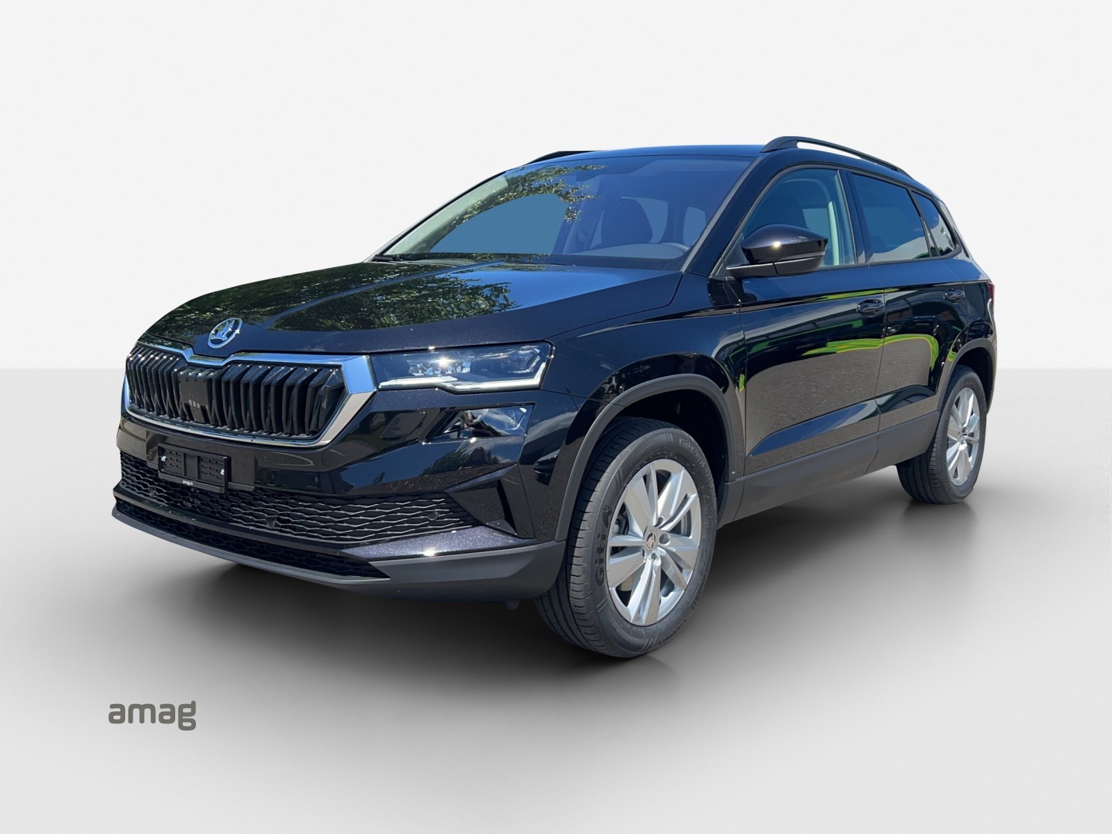 SKODA Karoq 2.0 TDI CR Selection 4x4 DSG