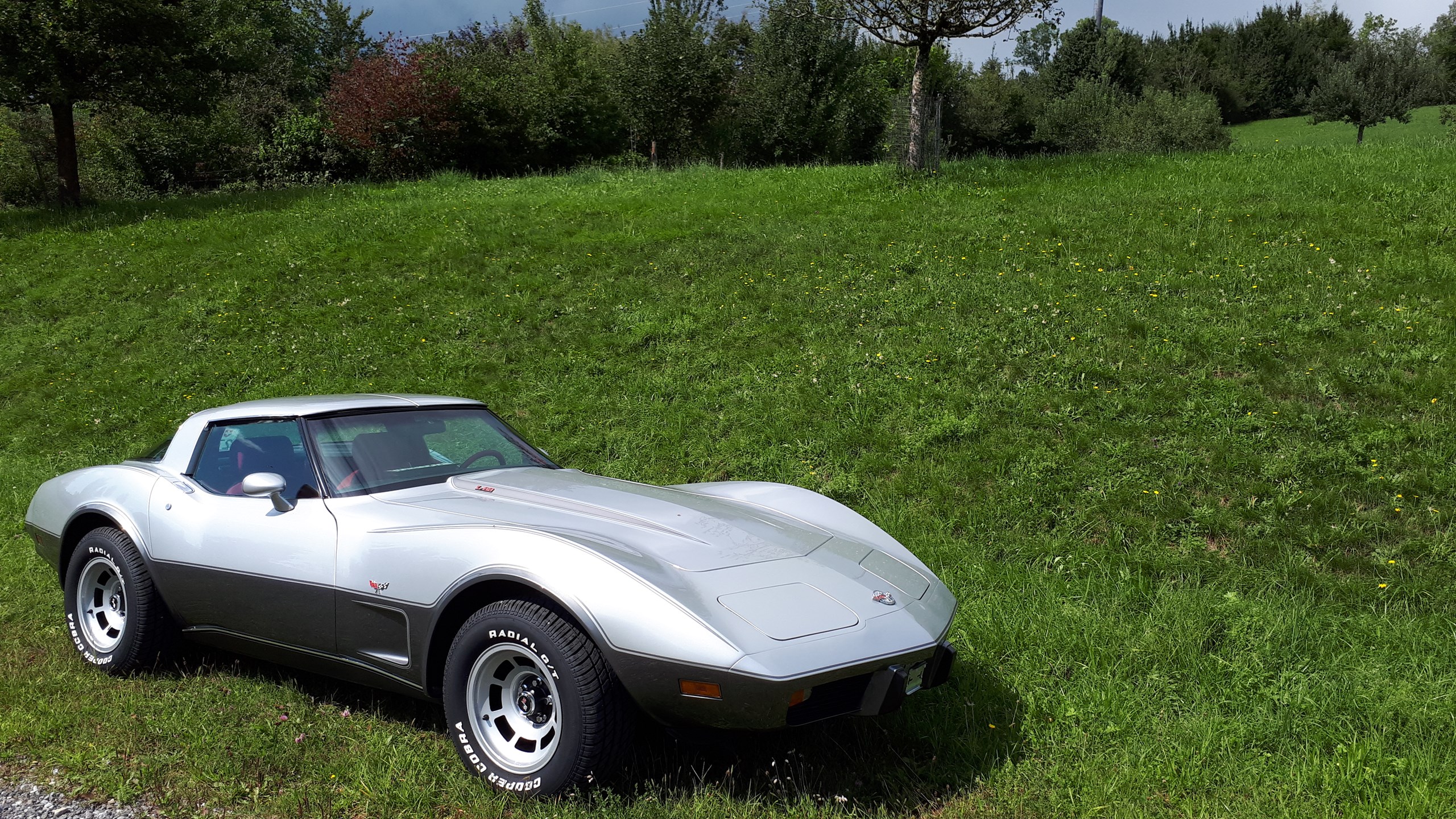 CHEVROLET CORVETTE 25 Anniversary