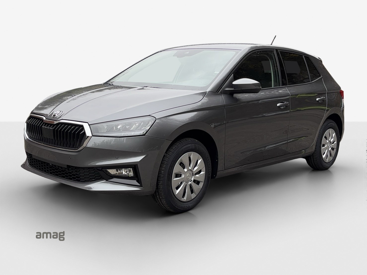 SKODA Fabia 1.0 TSI Selection