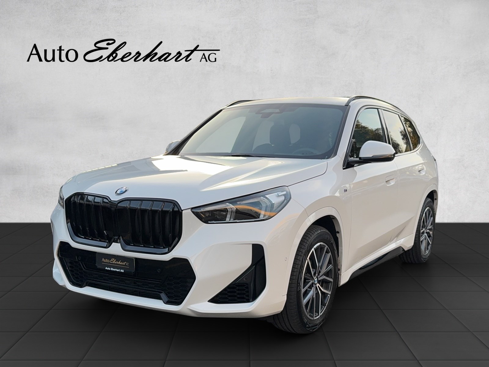 BMW X1 xDrive 23i 48V M Sport