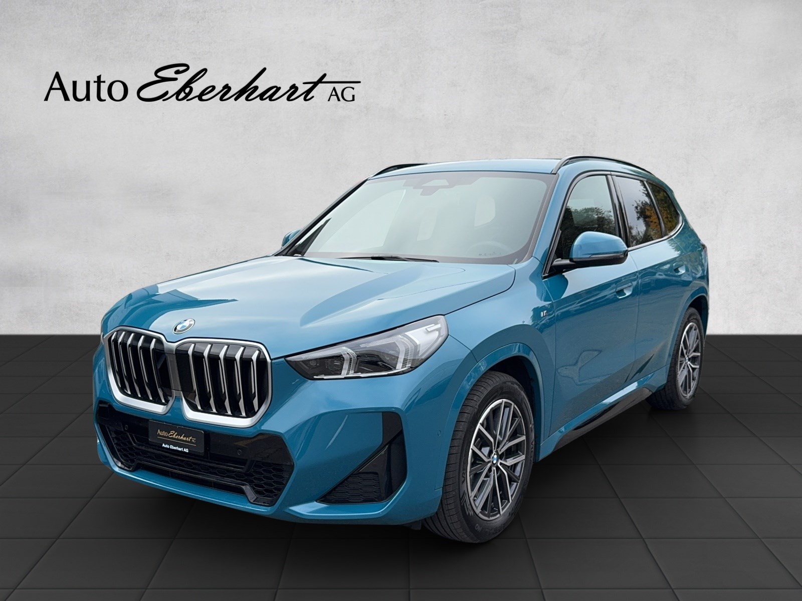 BMW X1 xDrive 23i 48V M Sport