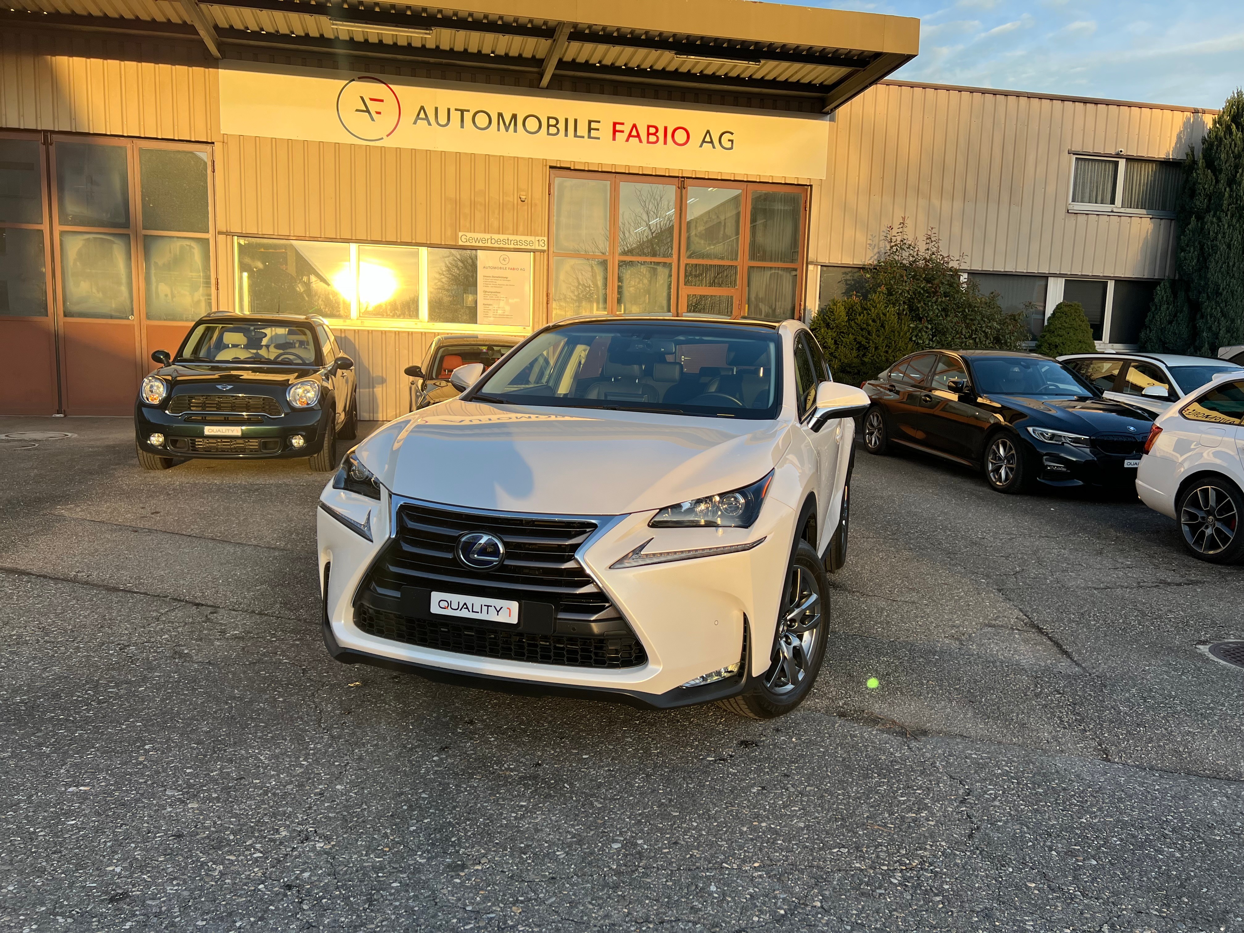 LEXUS NX 300h comfort E-Four Automatic