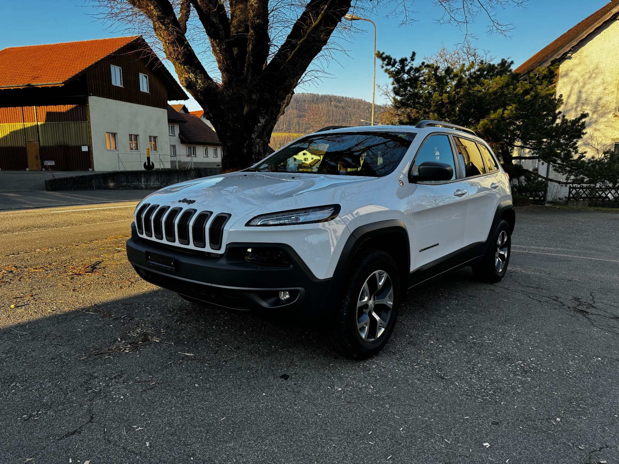 JEEP Cherokee 3.2 Trailhawk AWD 9ATX