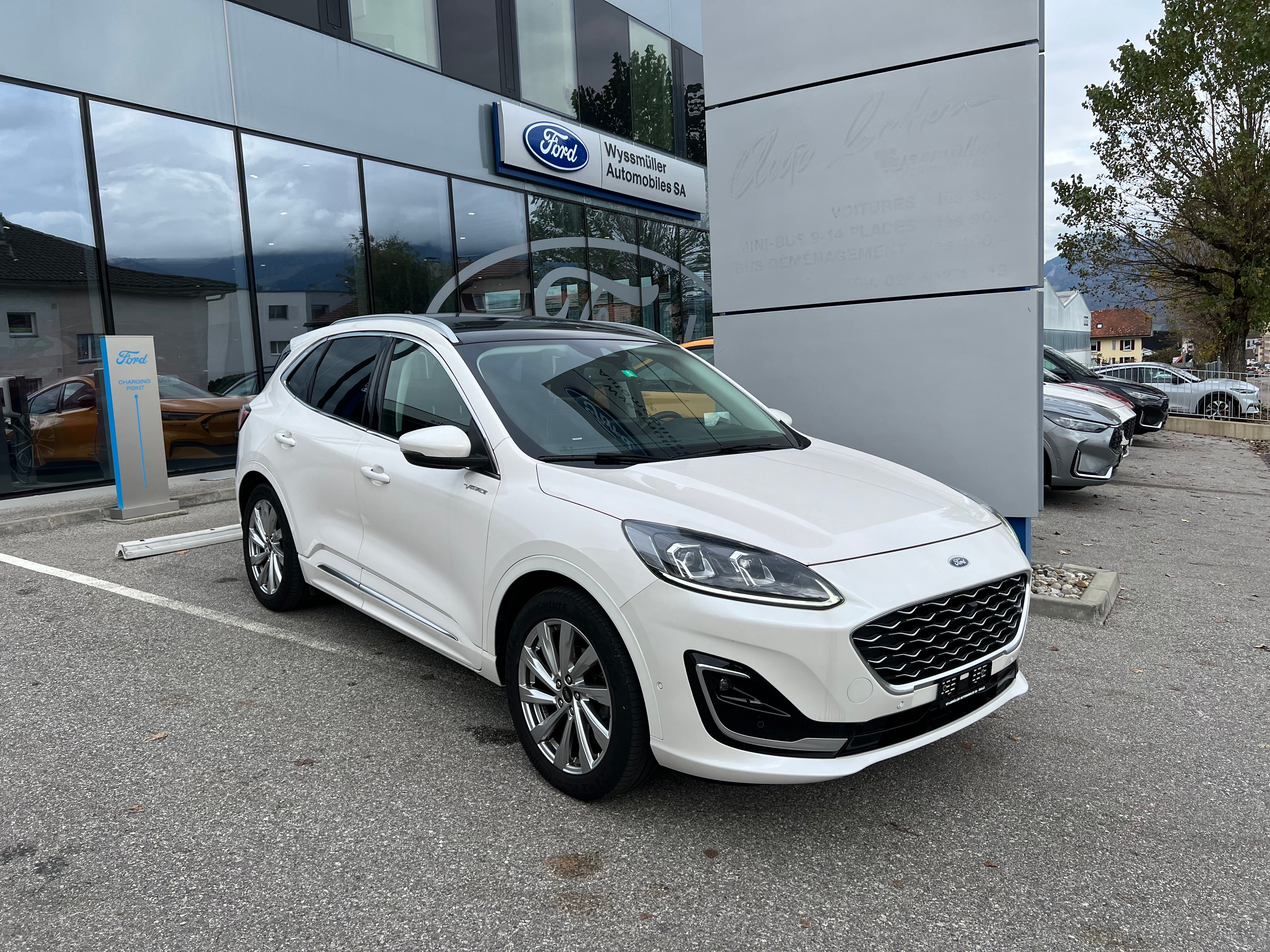 FORD Kuga 2.0 TDCi EcoBlue Vignale 4WD Automat