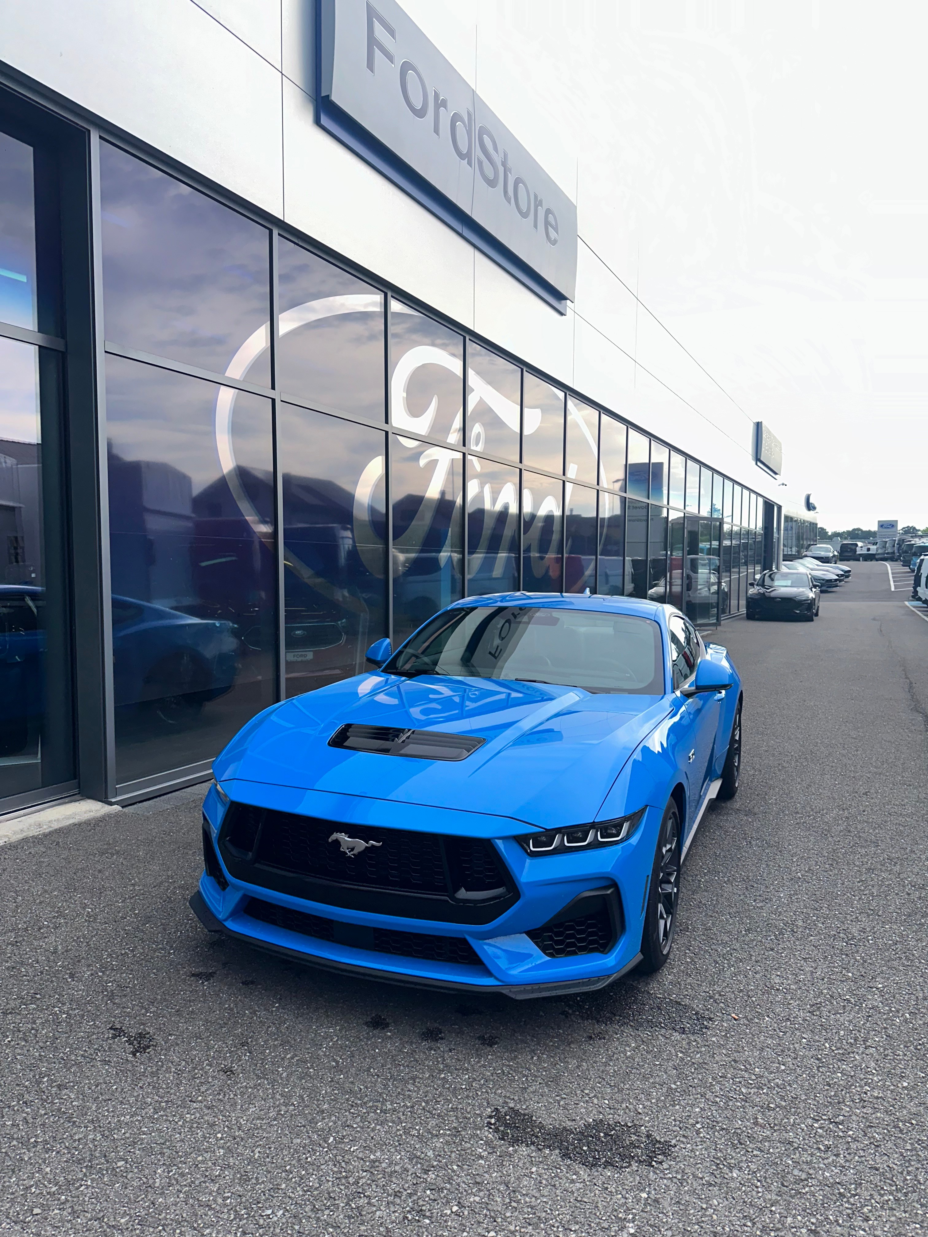 FORD Mustang Coupé 5.0 V8 GT 450CV/Man.