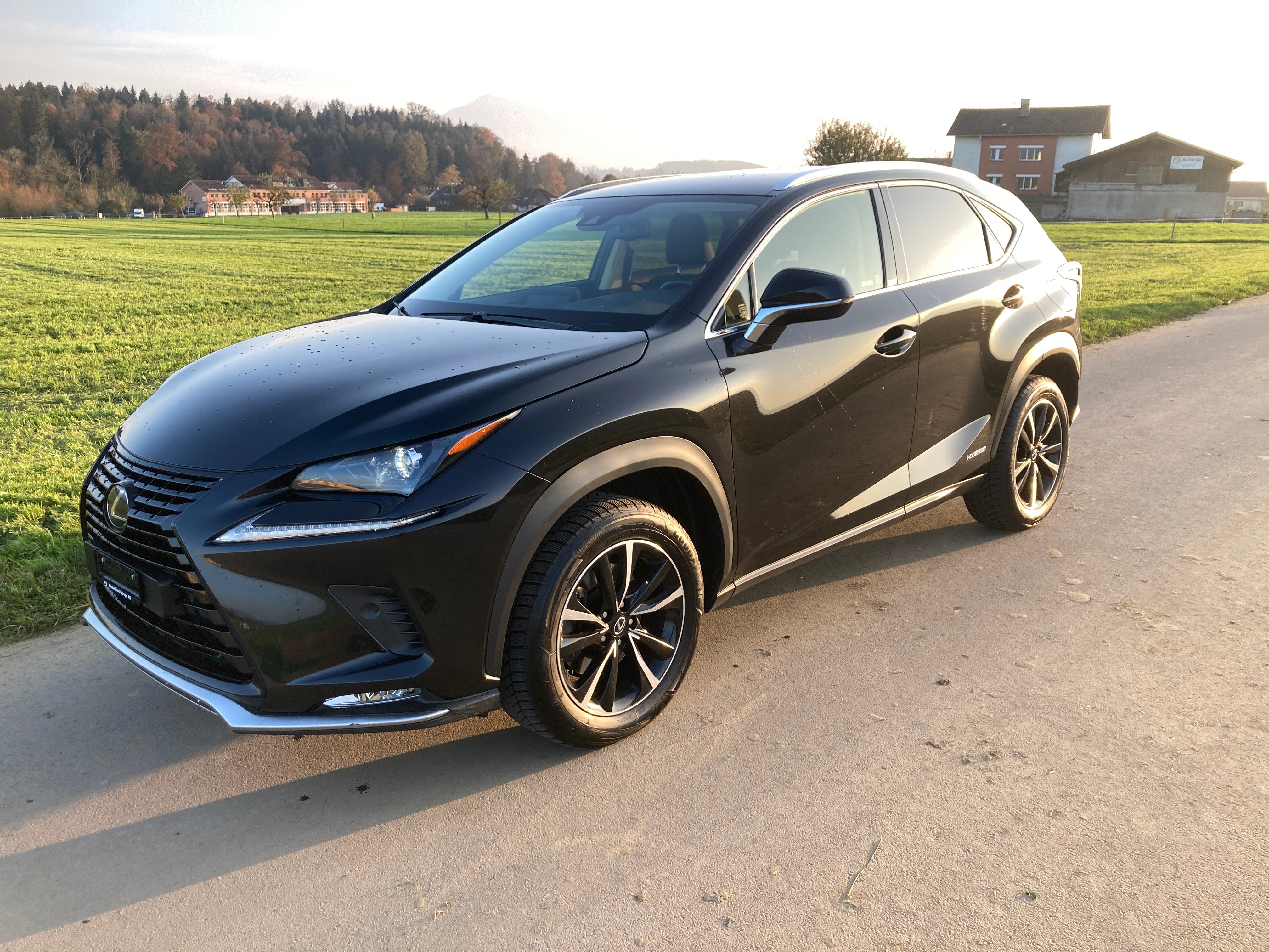 LEXUS NX 300h Celebrating 30 E-Four Automatic