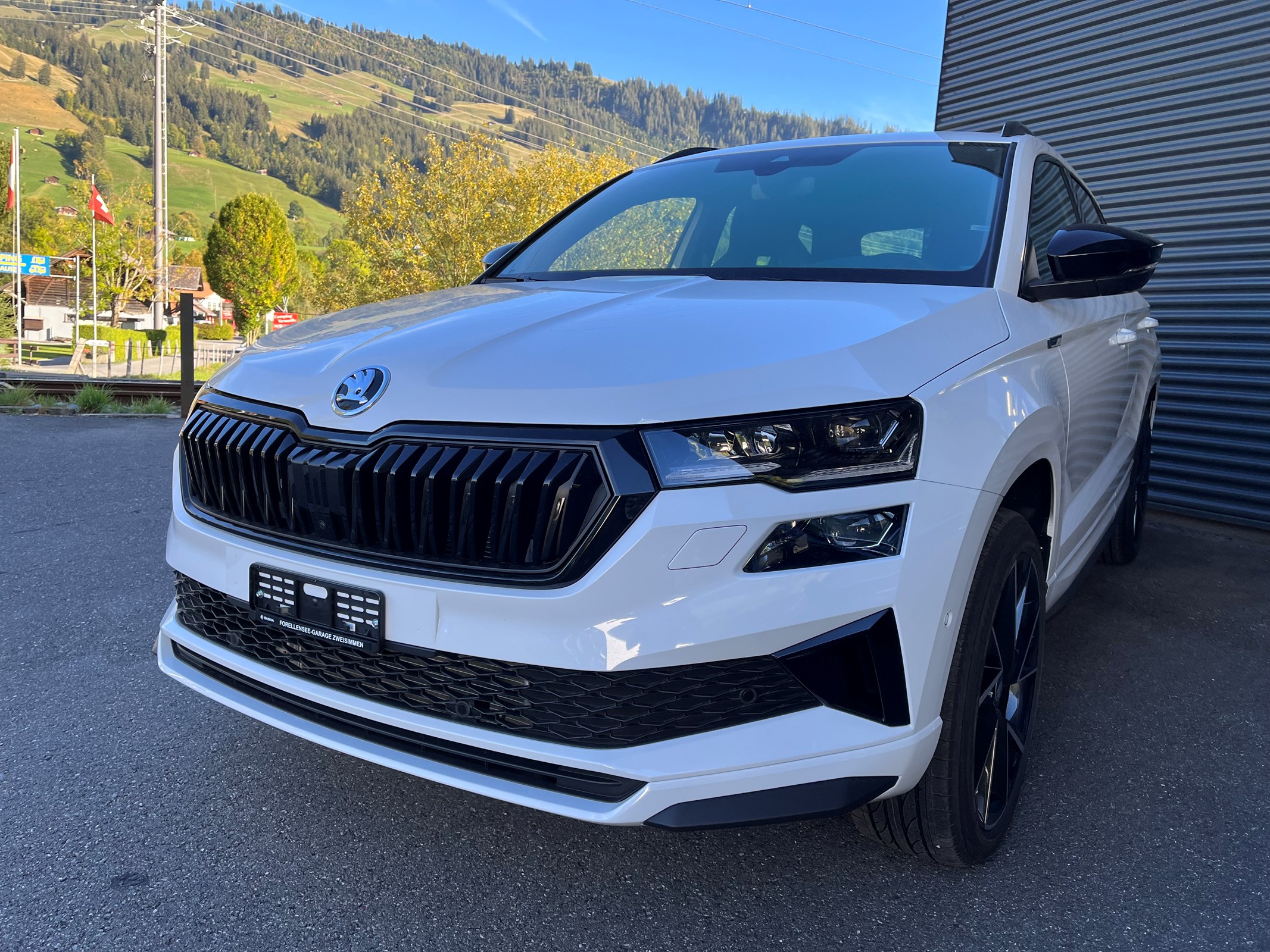 SKODA Karoq 2.0 TSI SportLine 4x4 DSG