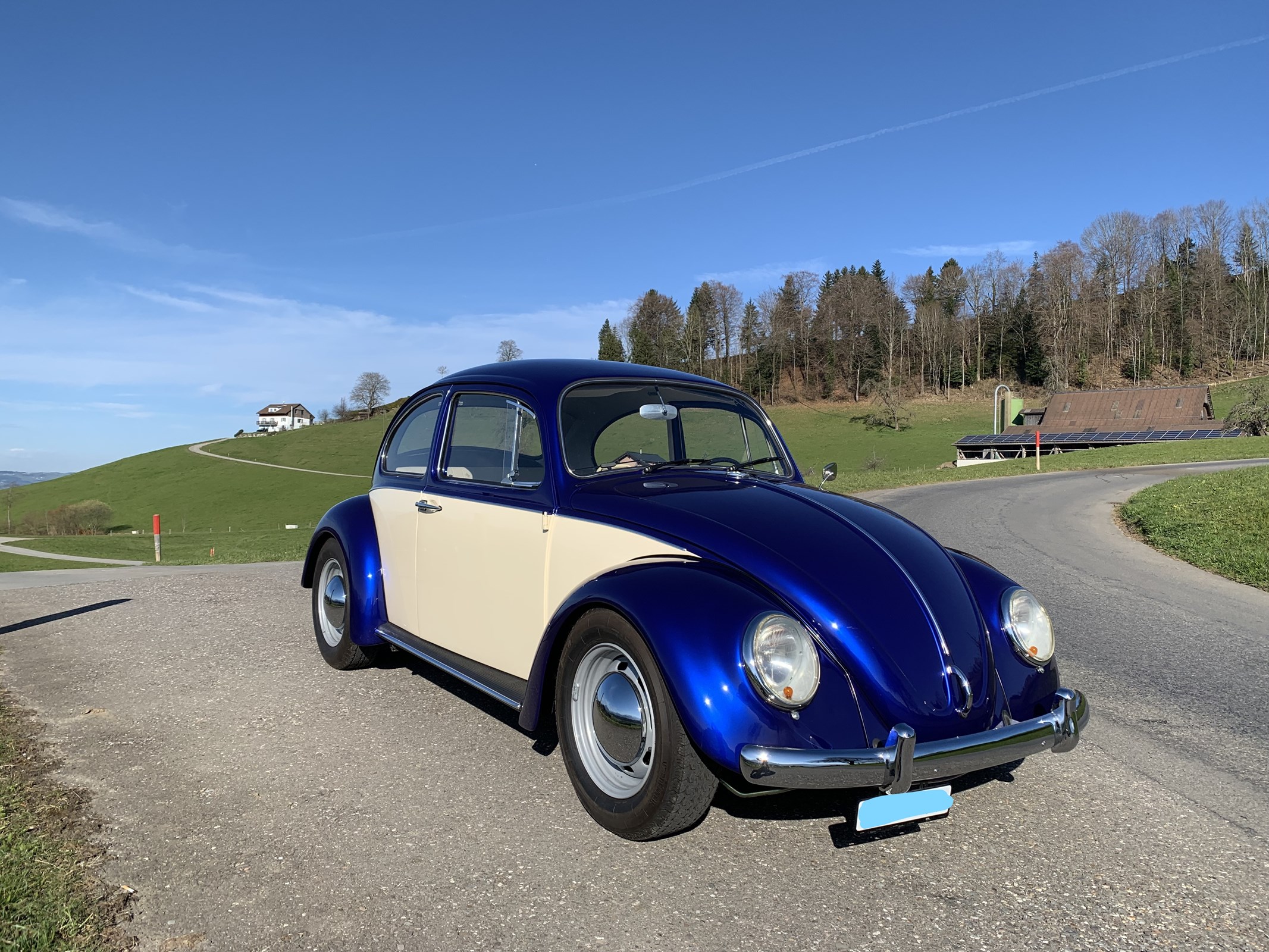 VW Käfer