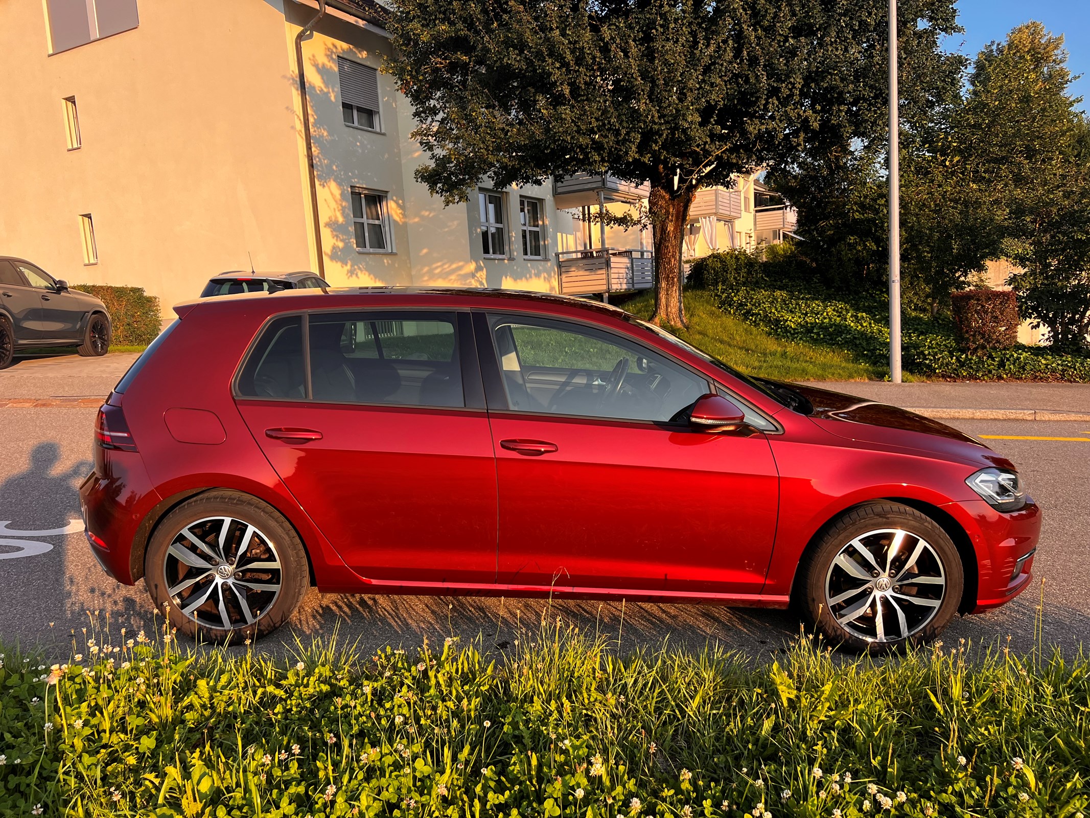 VW Golf 1.5 TSI EVO Edition 45 DSG