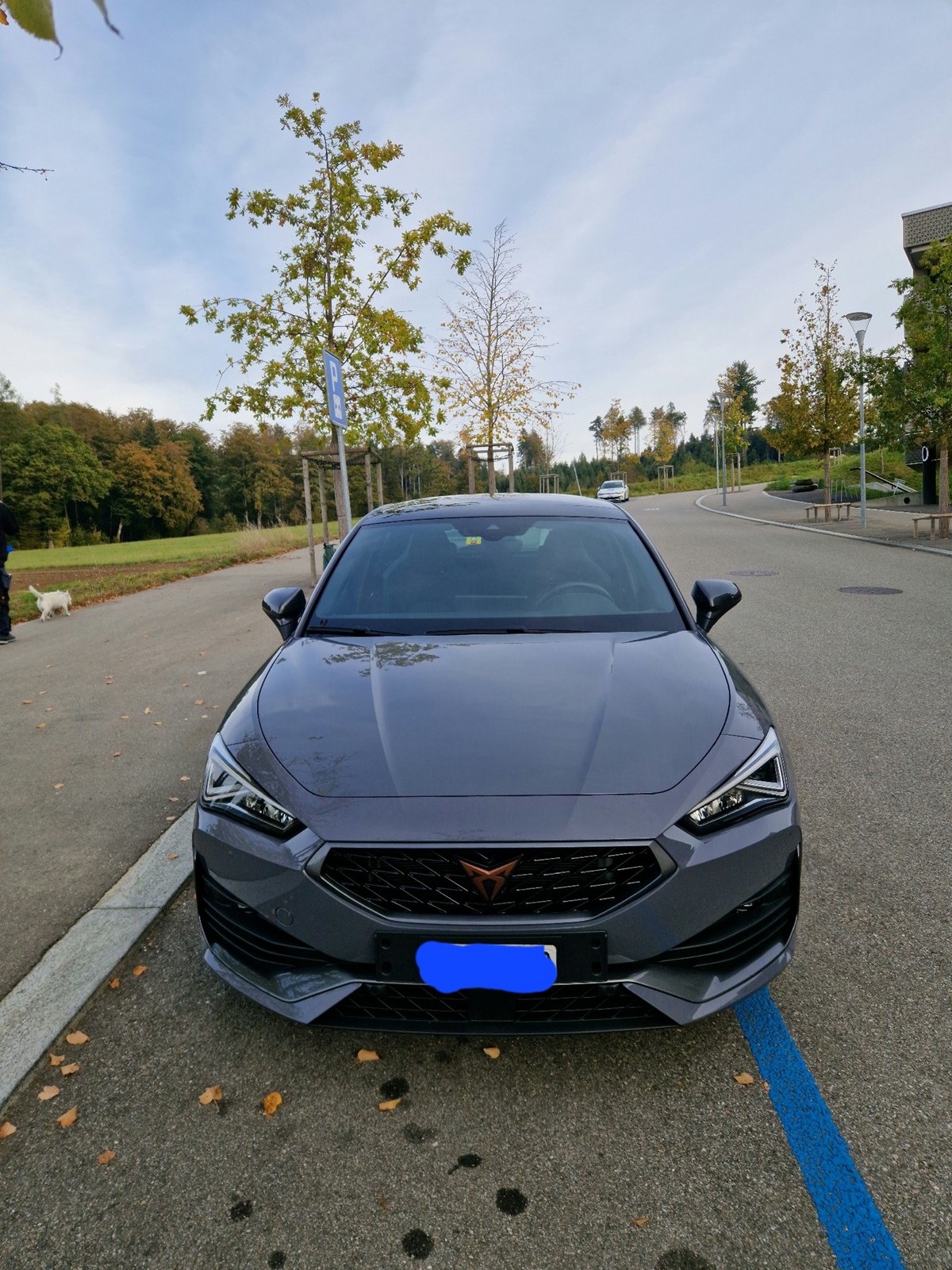 CUPRA LEON VZ 2.0 TSI DSG