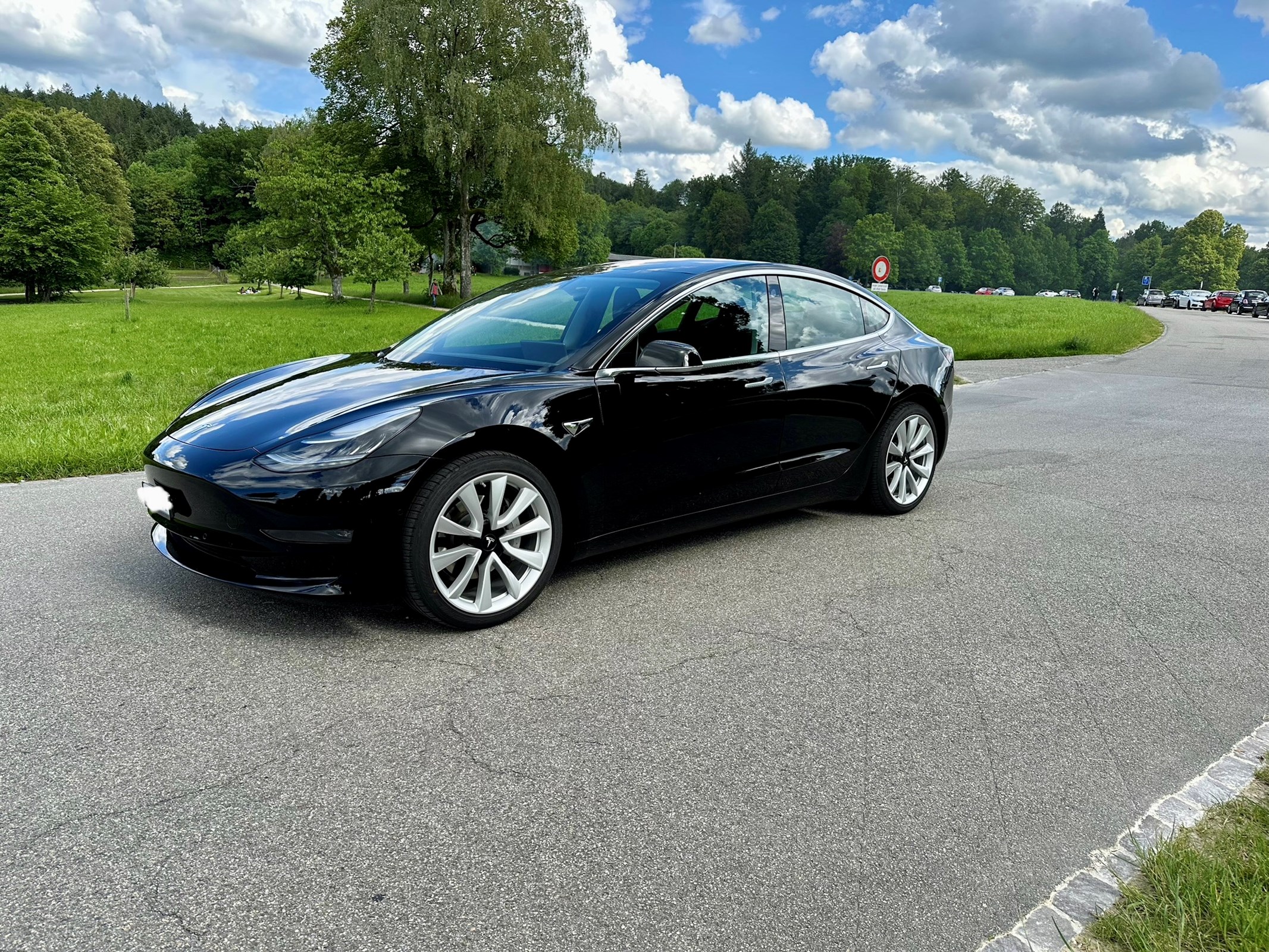 TESLA Model 3 Long Range Dual Motor AWD