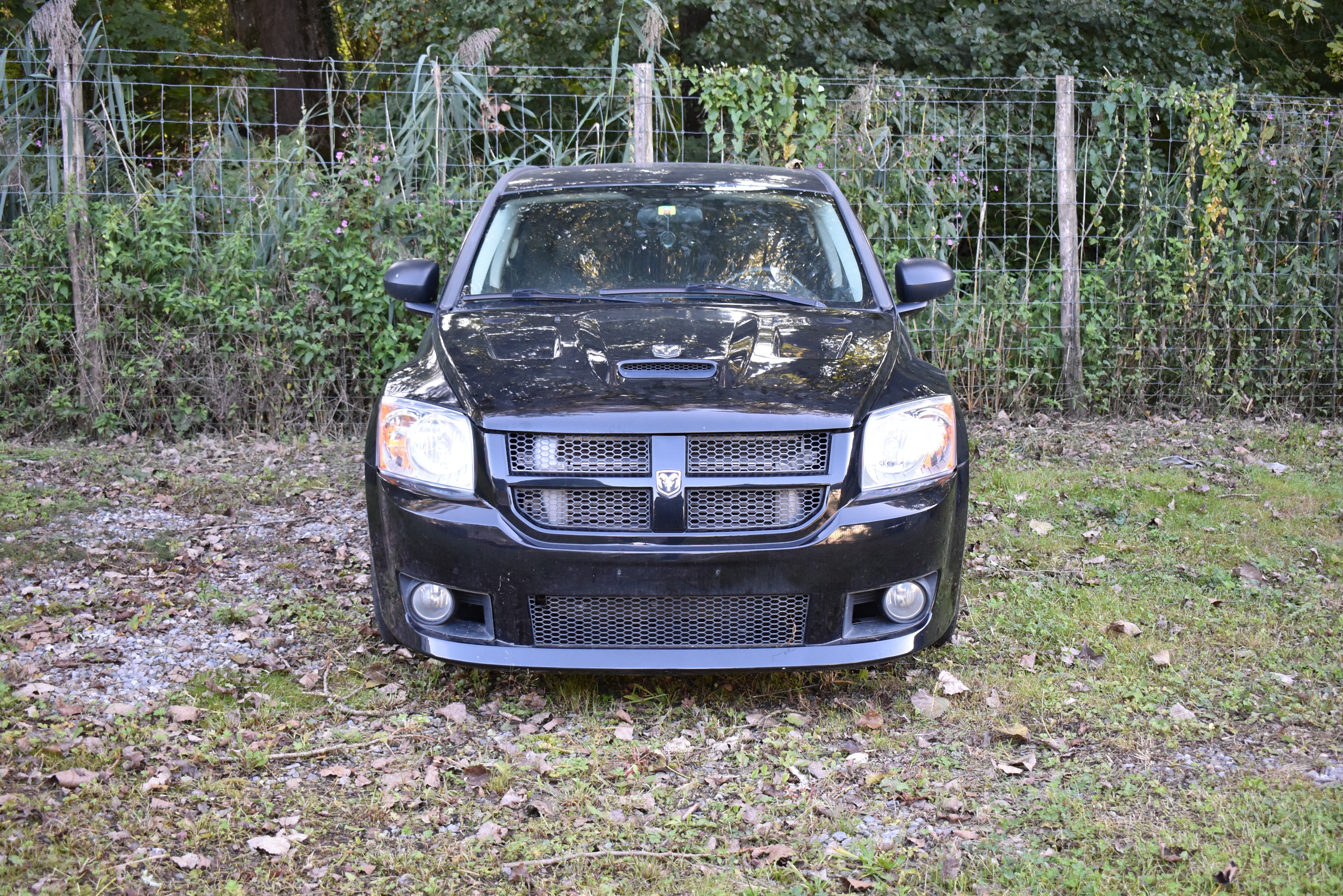 DODGE Caliber 2.4 SRT4