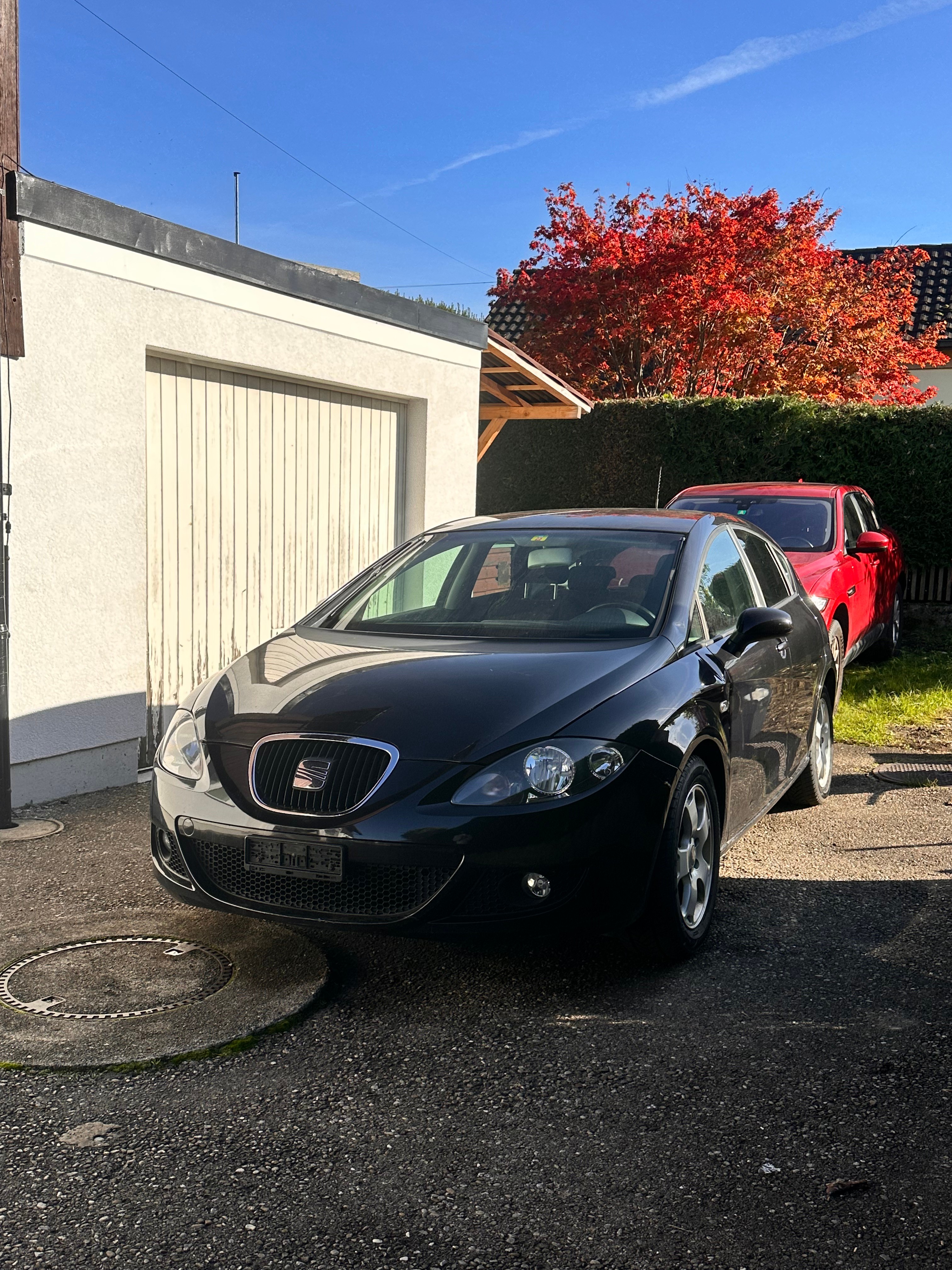 SEAT Leon 2.0 FSI Stylance