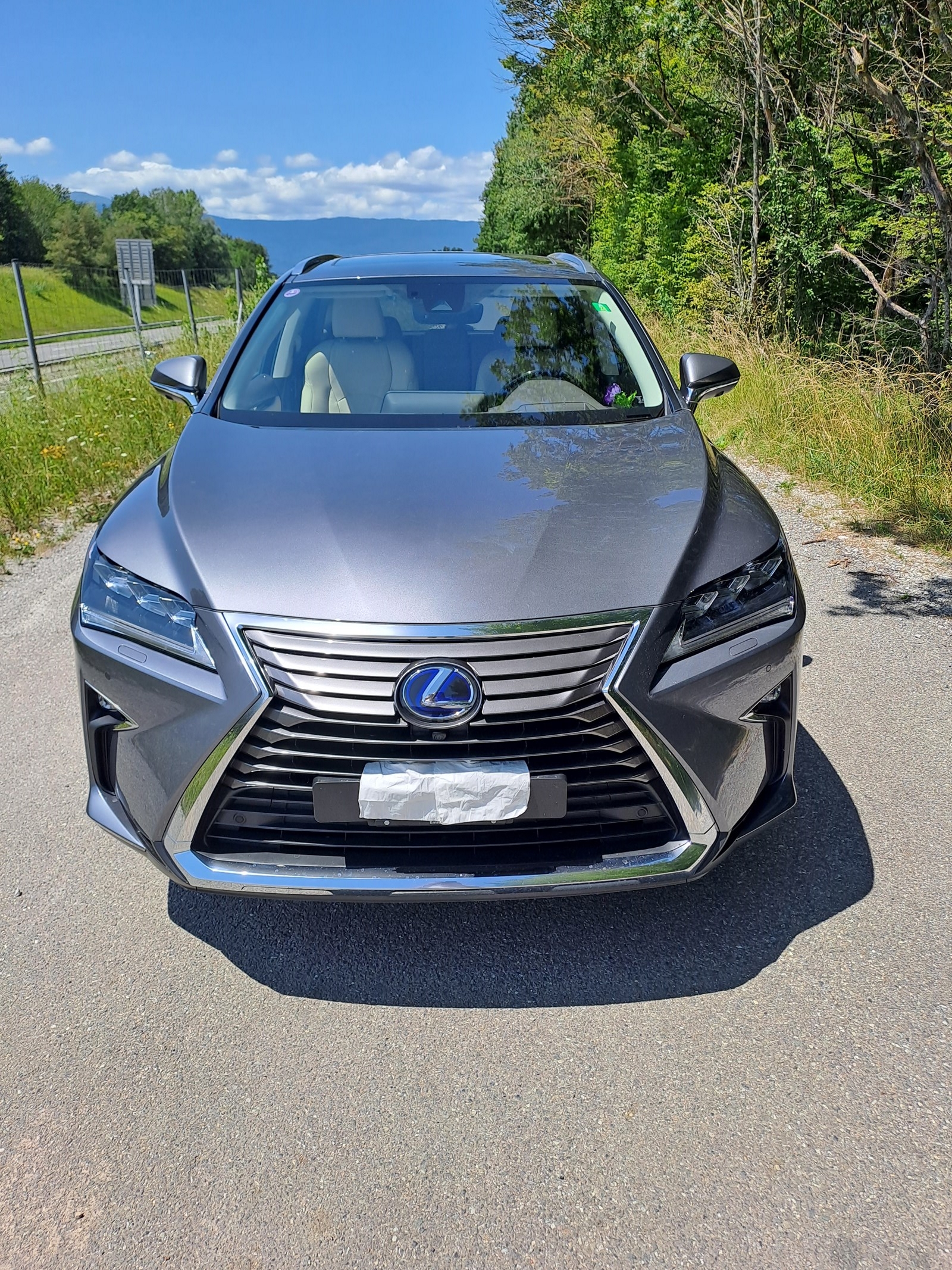 LEXUS RX 450h excellence AWD CVT