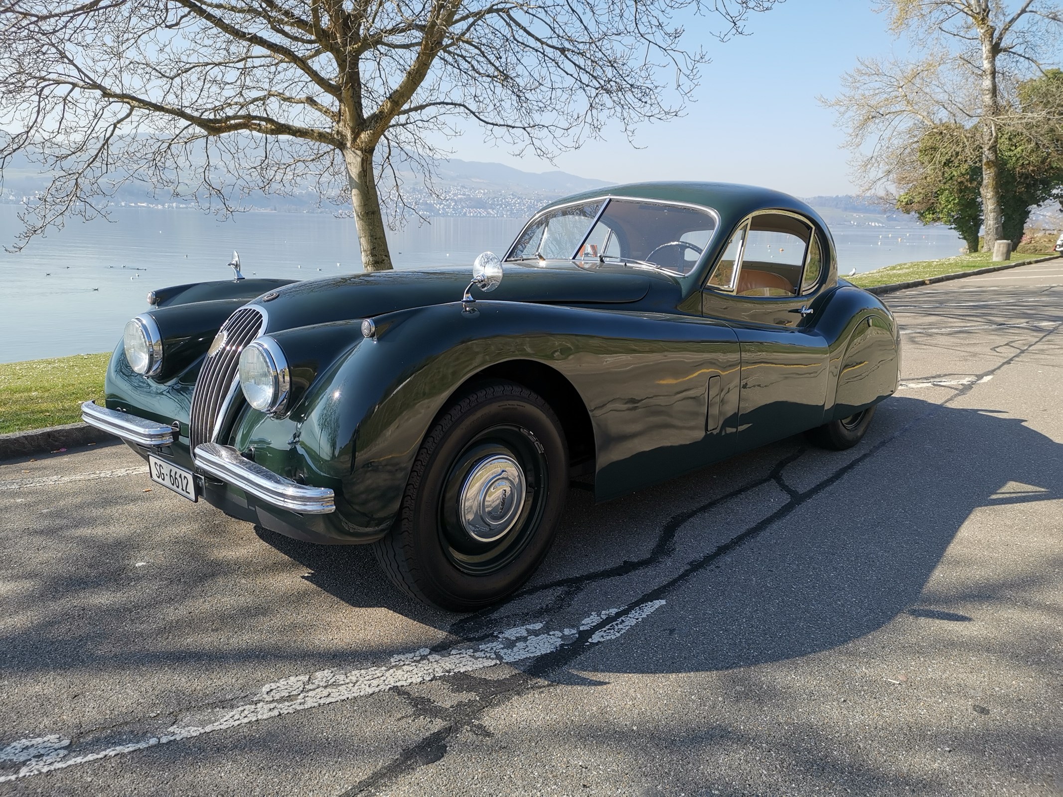 JAGUAR XK120 Jaguar XK 120 FHC