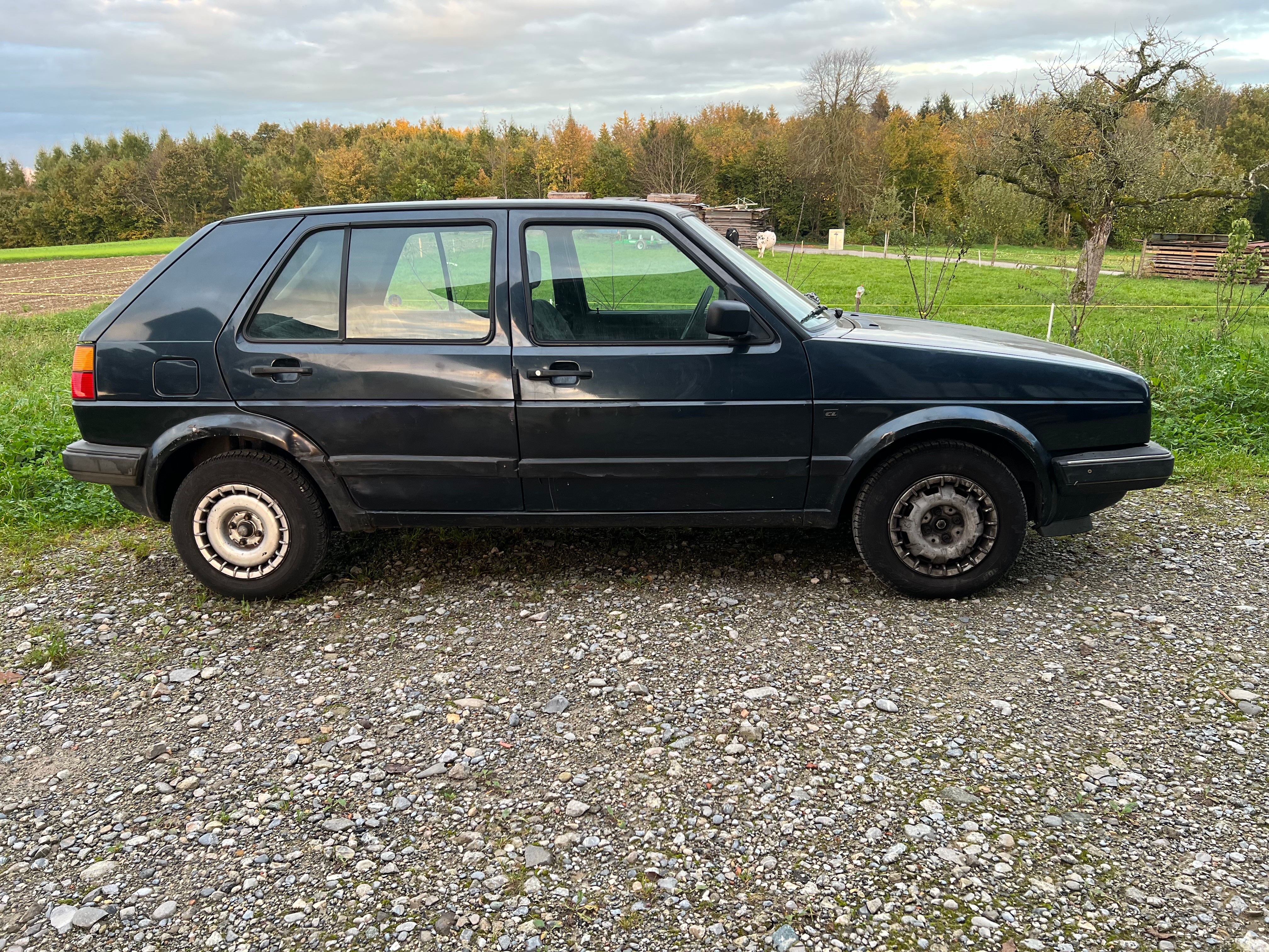 VW Golf 1600 CL Swiss Champ.