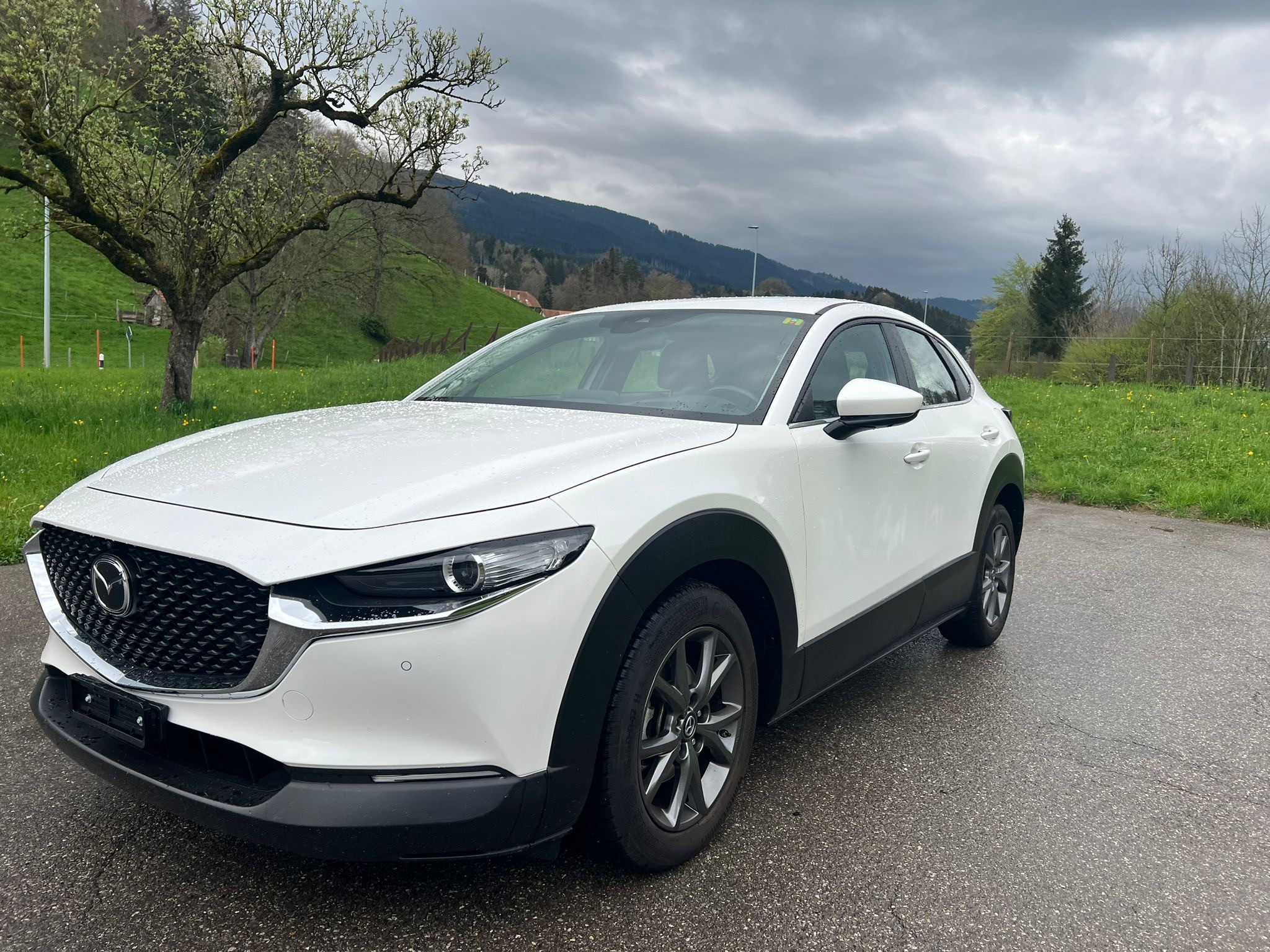 MAZDA CX-30 SKYACTIV-G 150 M Hybrid FWD Ambition Plus Automat