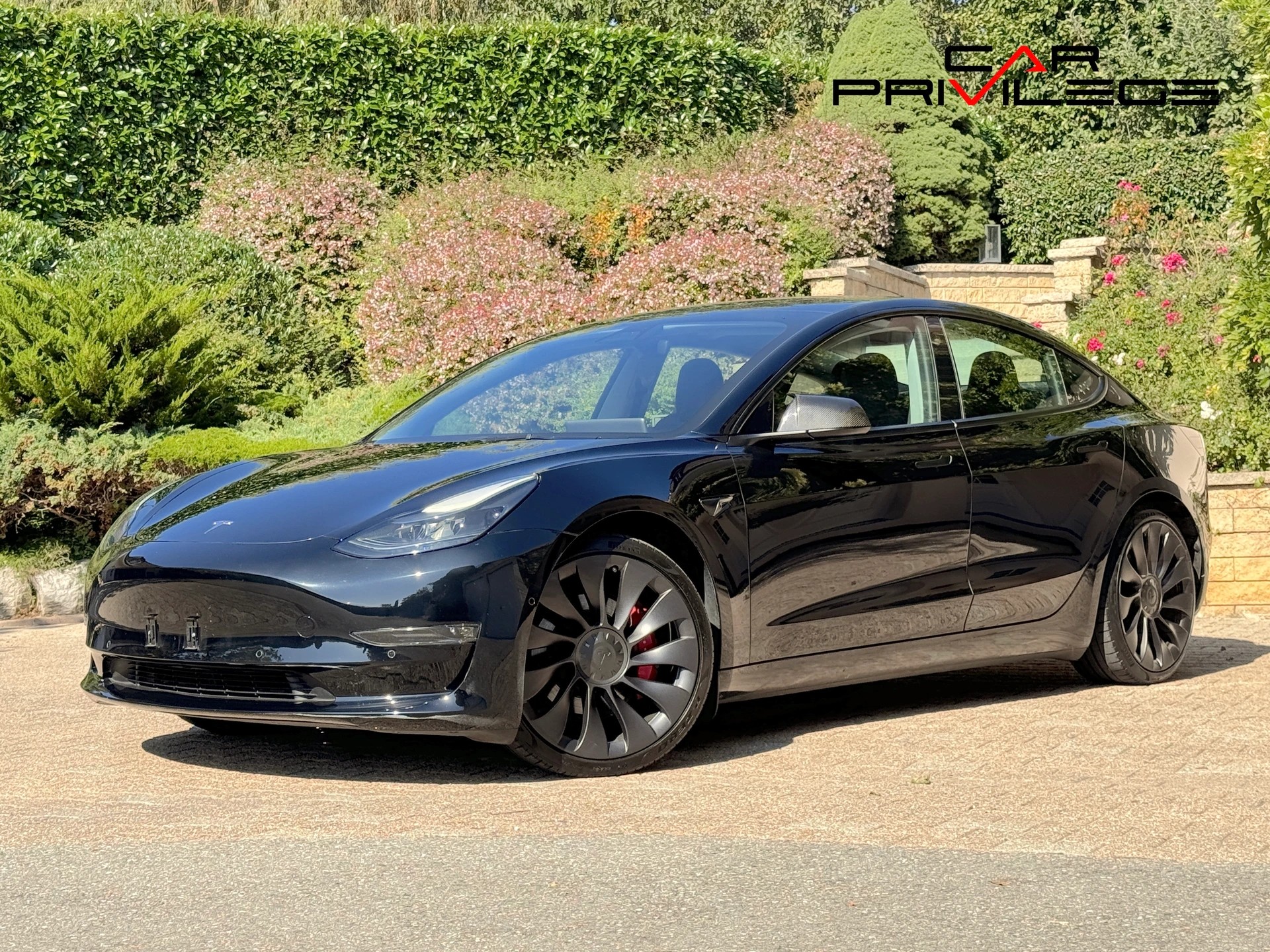 TESLA TESLA Model 3 Performance Dual Motor AWD 513cv Facelift Pompe à chaleur Grand Autonomie