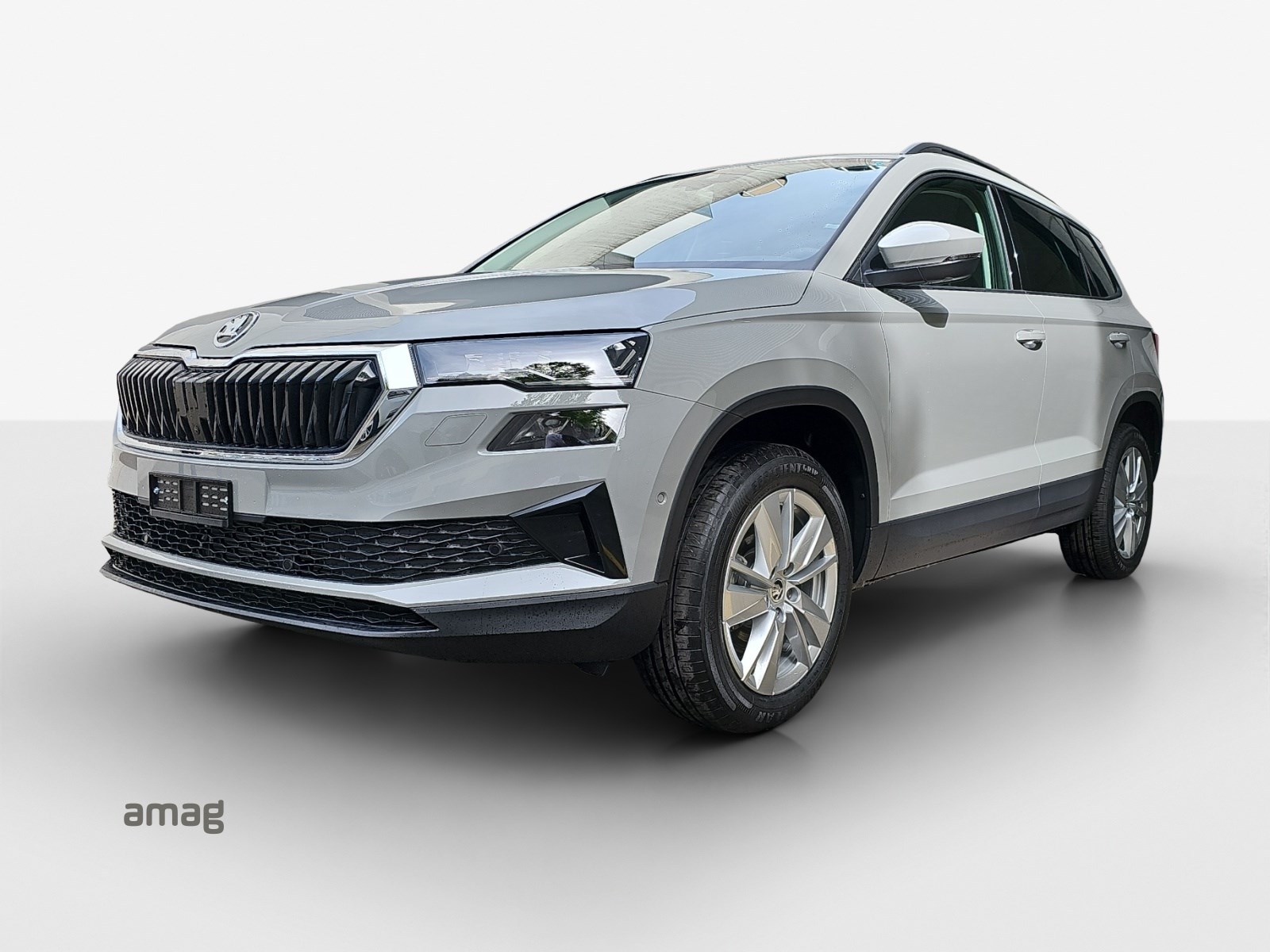 SKODA Karoq 1.5 TSI Selection DSG