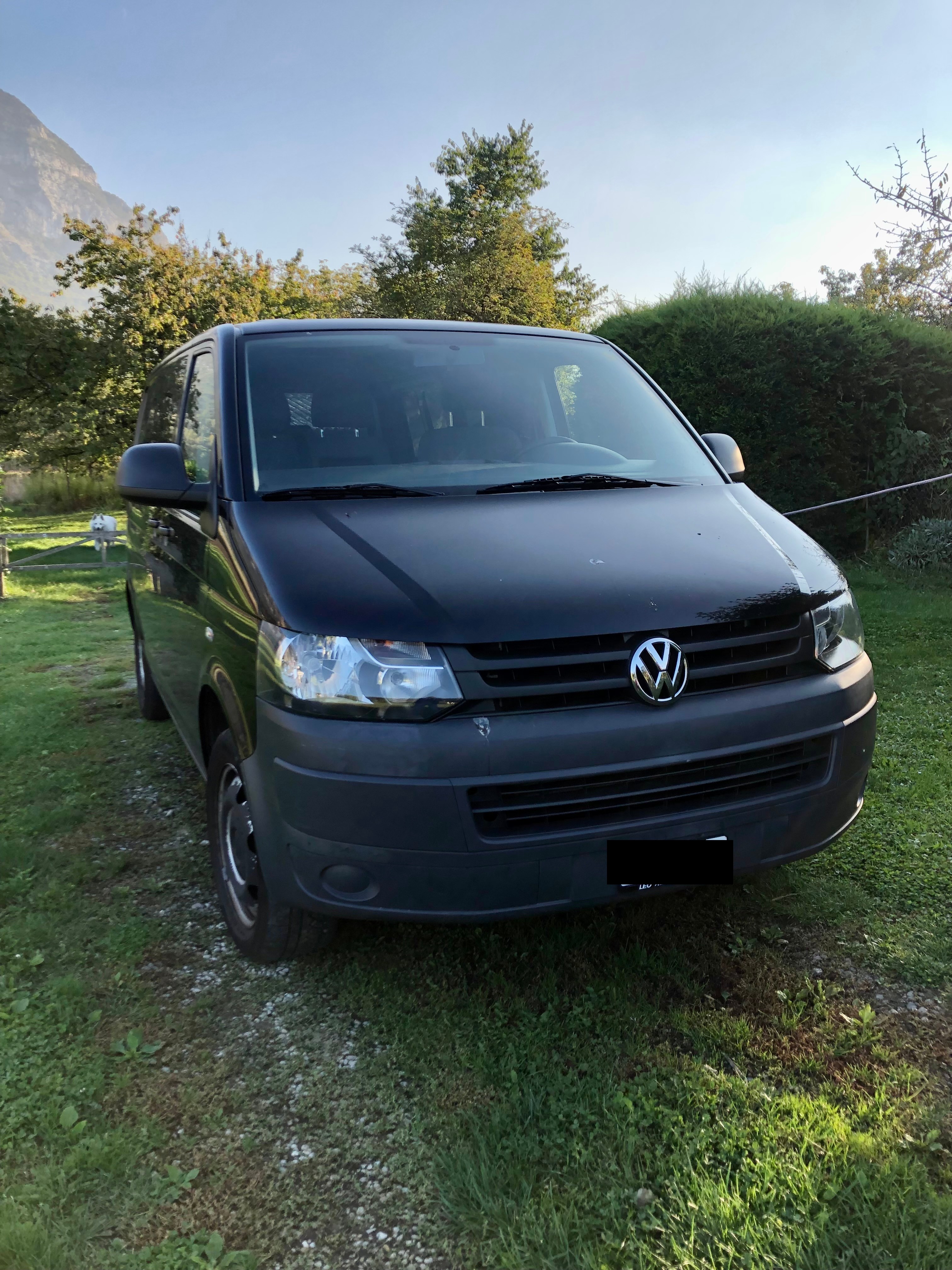 VW T5