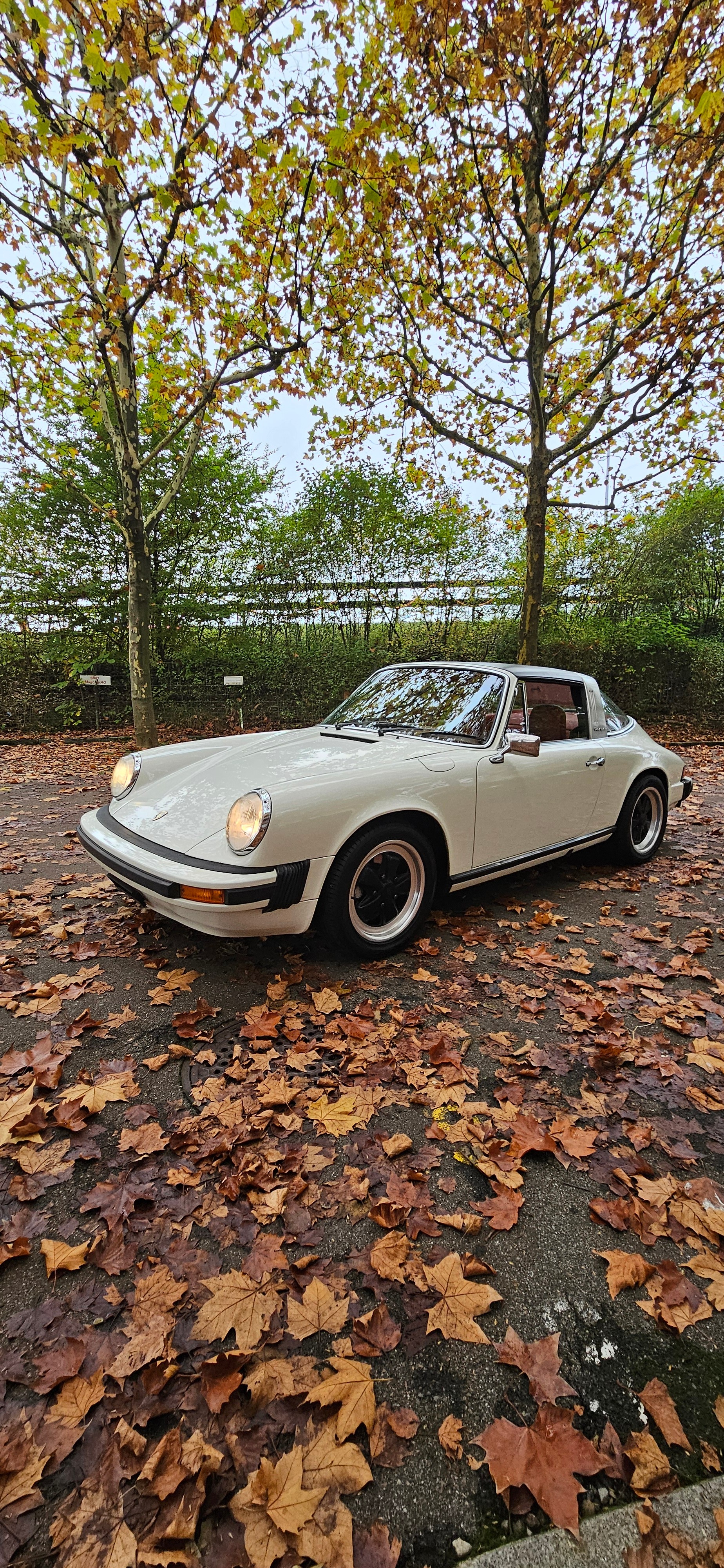 PORSCHE Targa